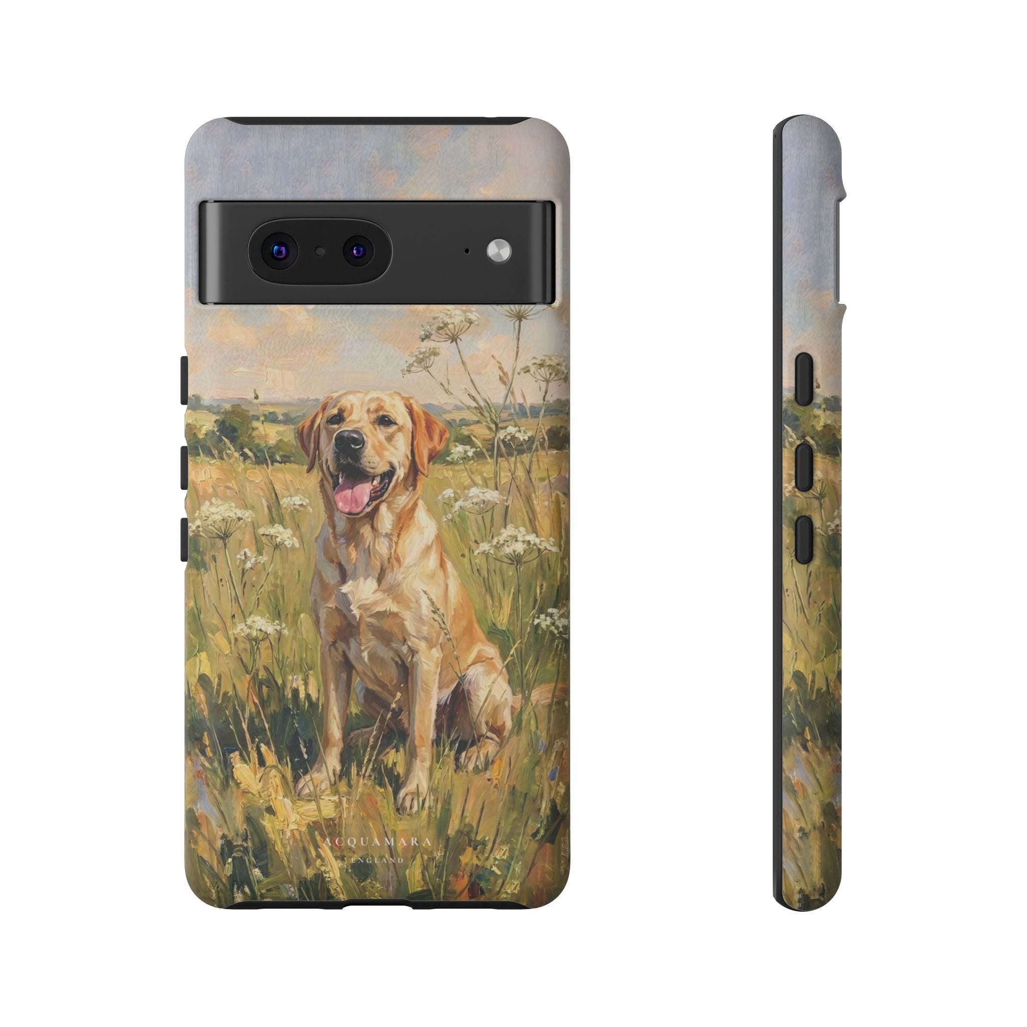 The Labrador (Yellow)