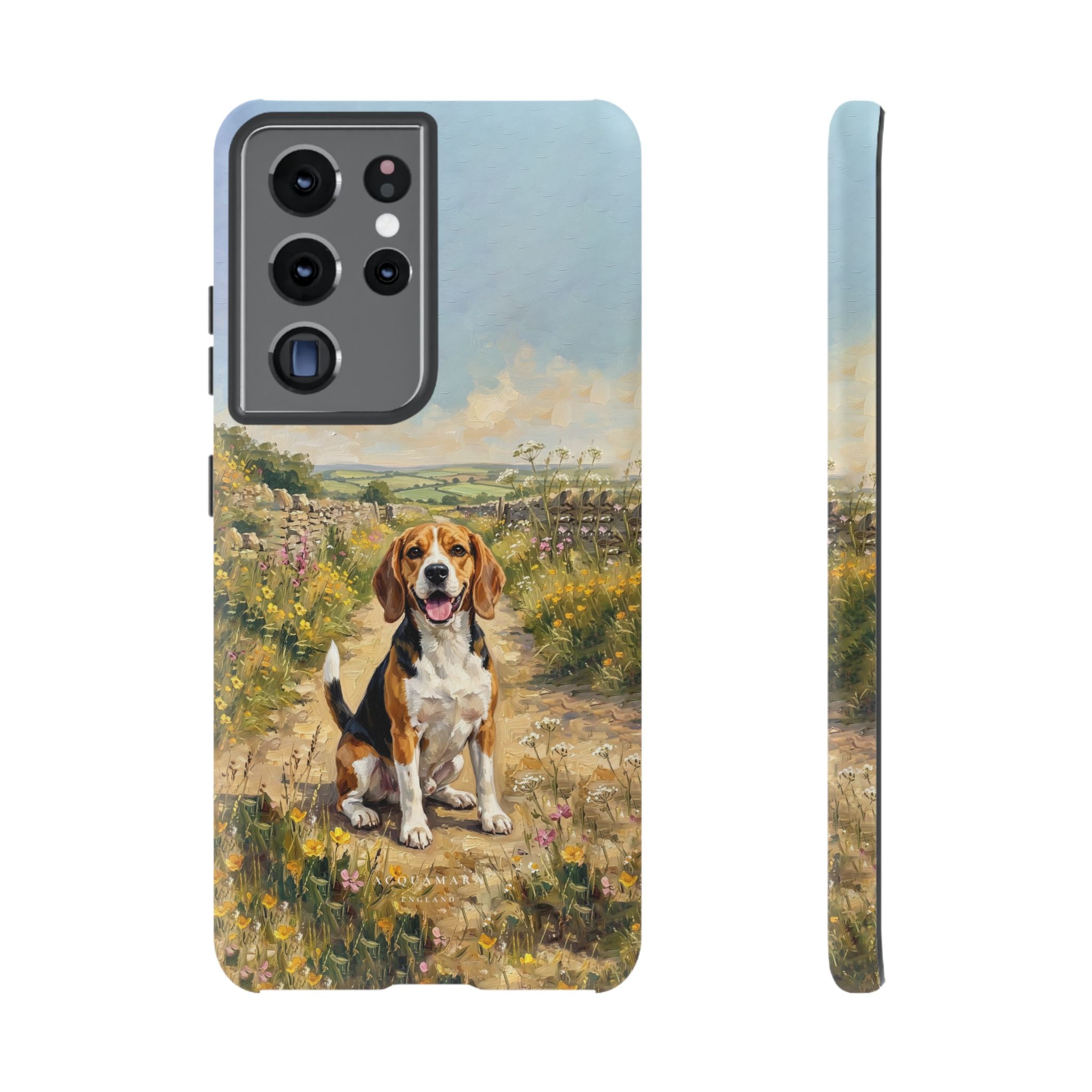 The Beagle