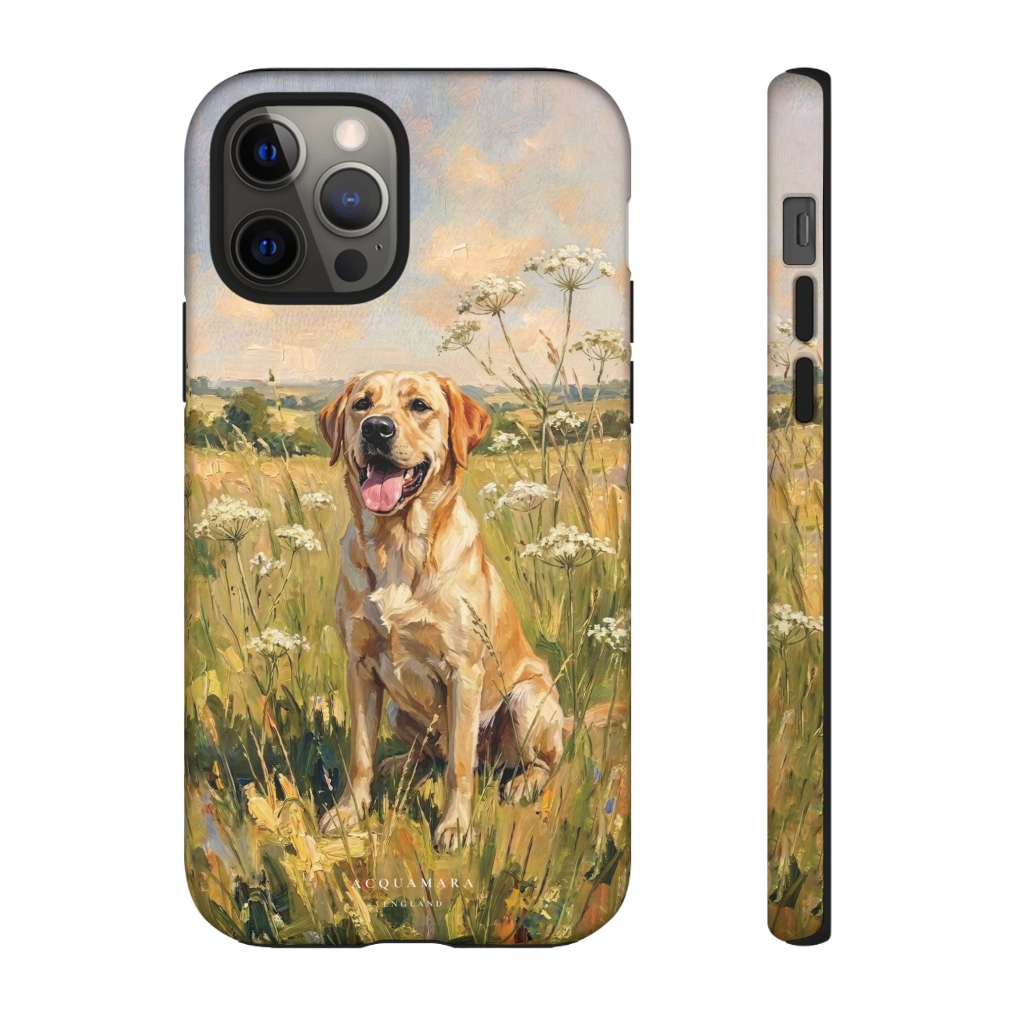 The Labrador (Yellow)