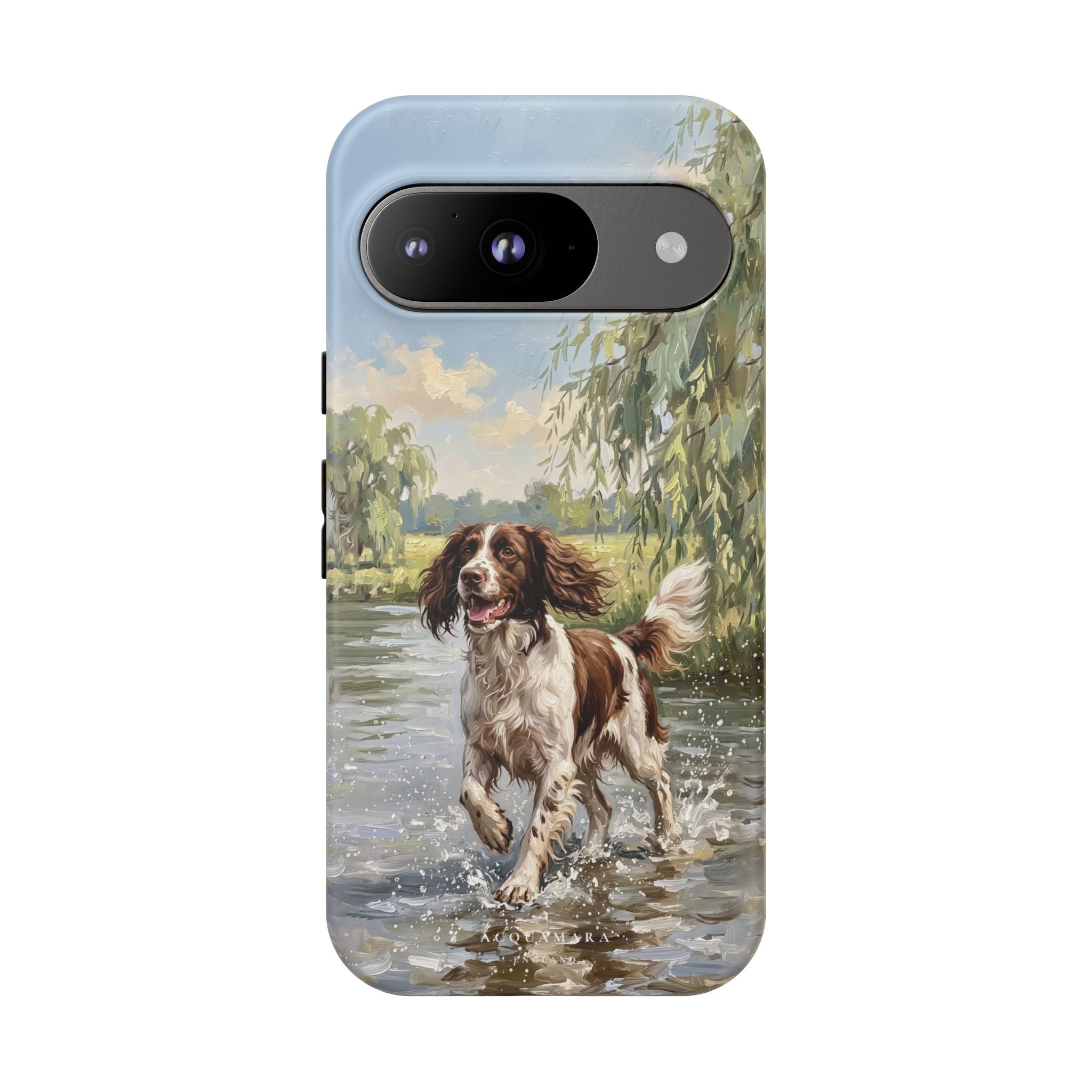 The Springer Spaniel (Liver and White)