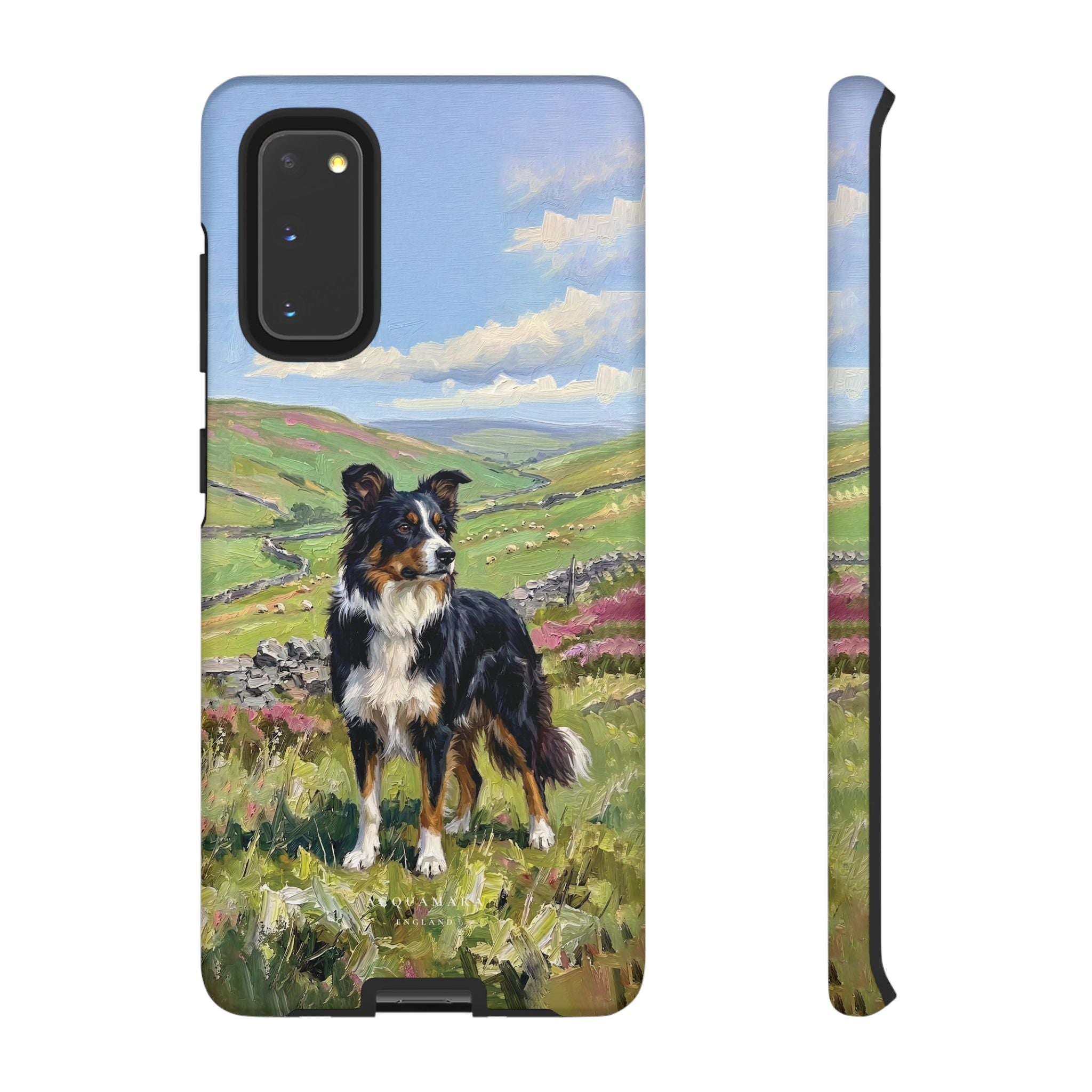 The Border Collie