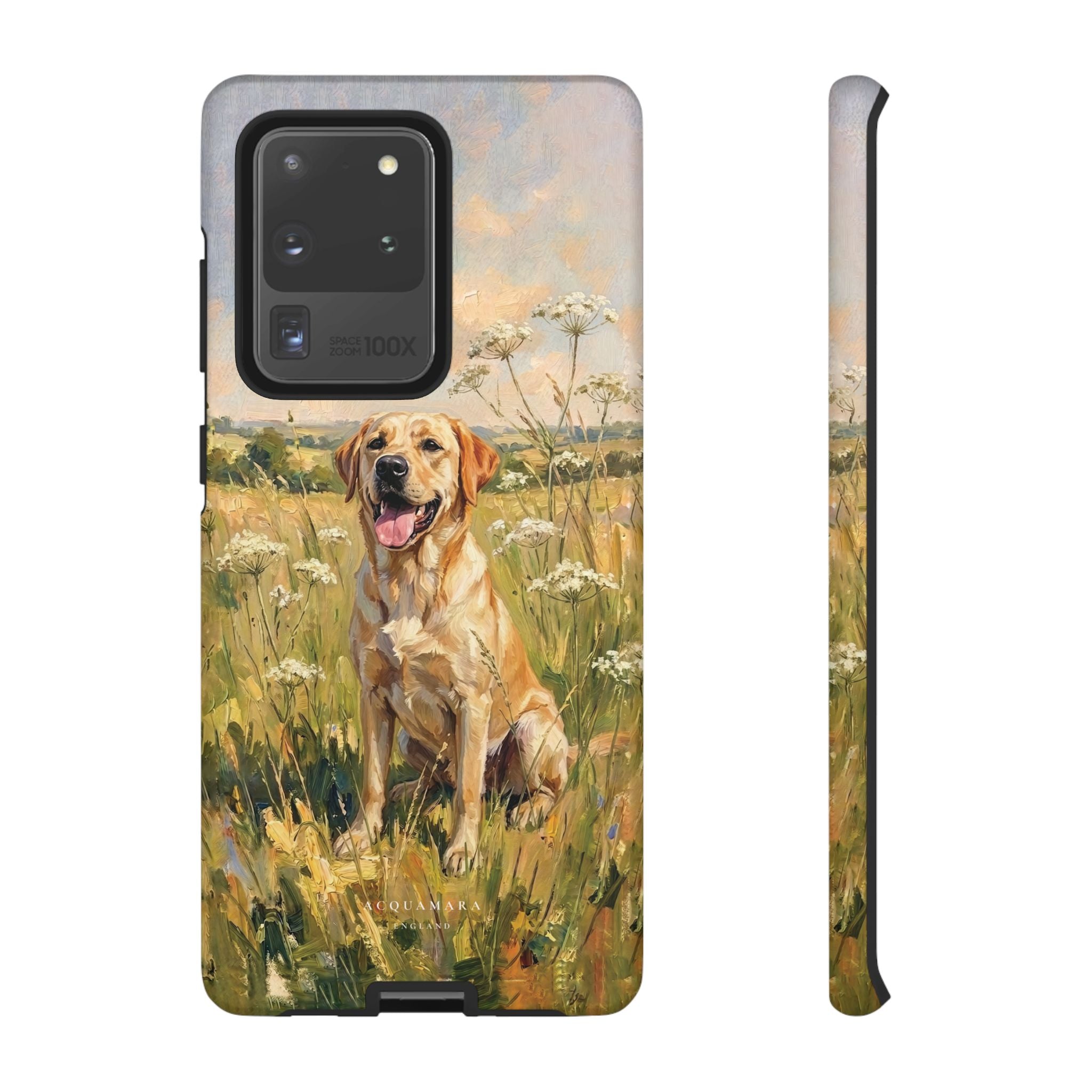 The Labrador (Yellow)