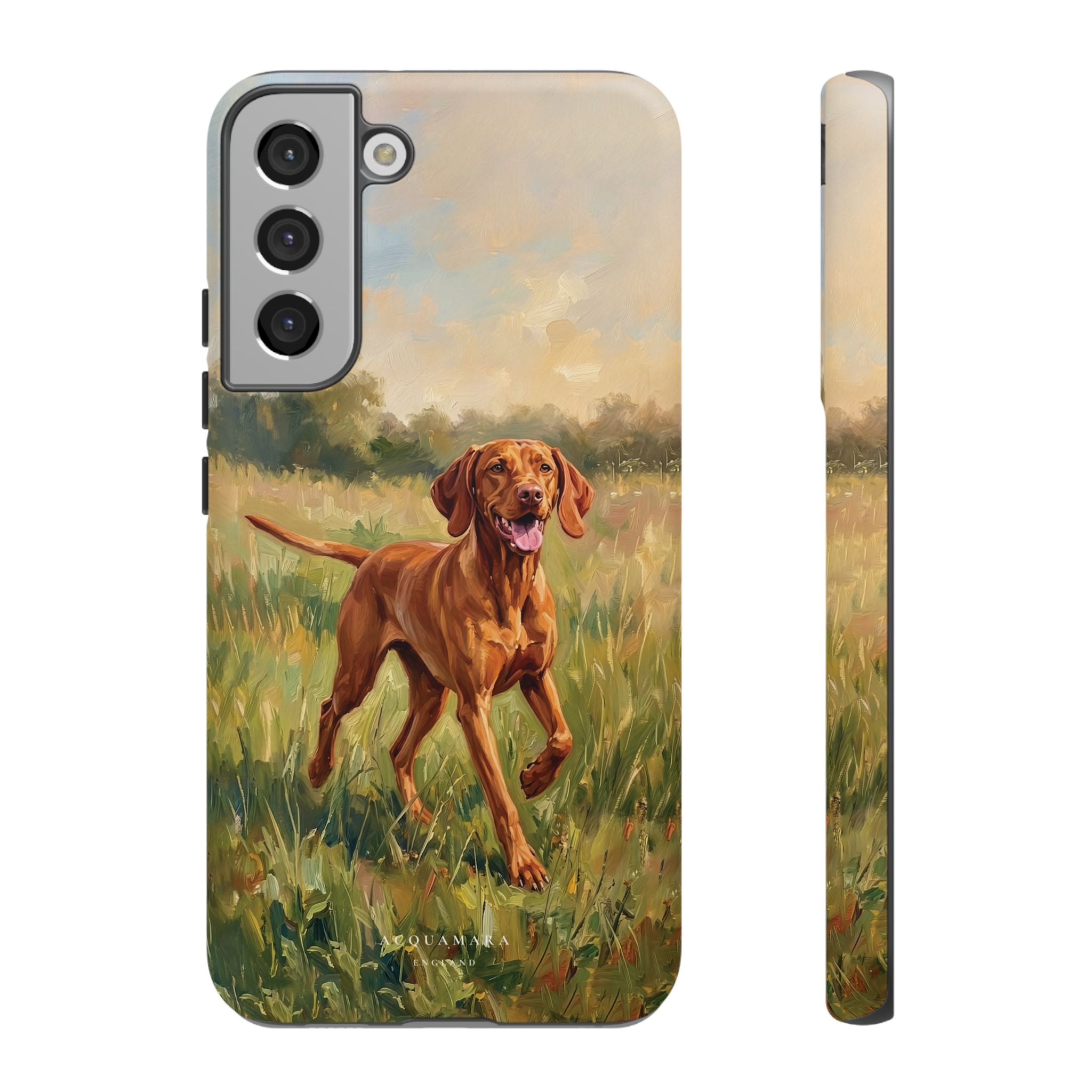 The Hungarian Vizsla