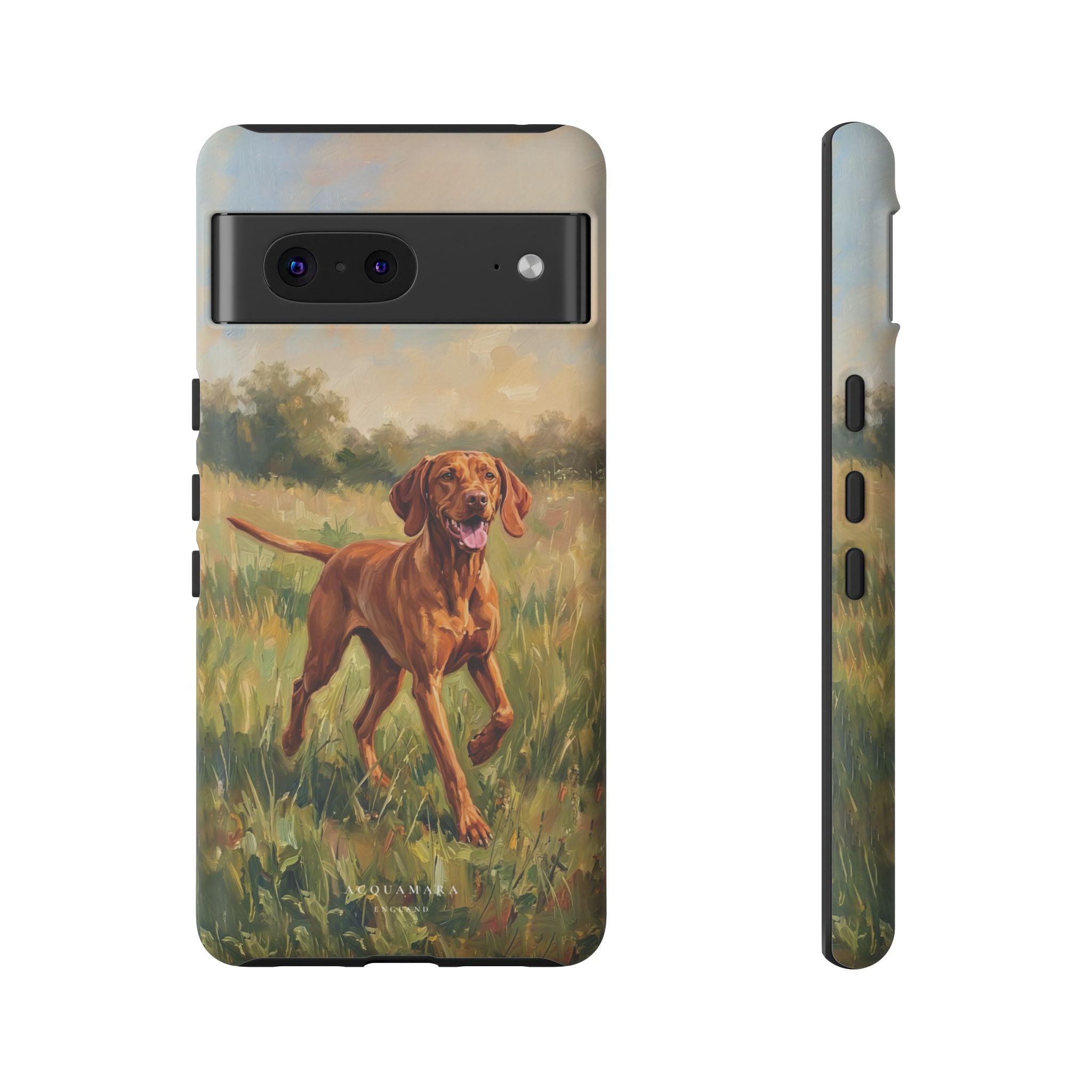 The Hungarian Vizsla