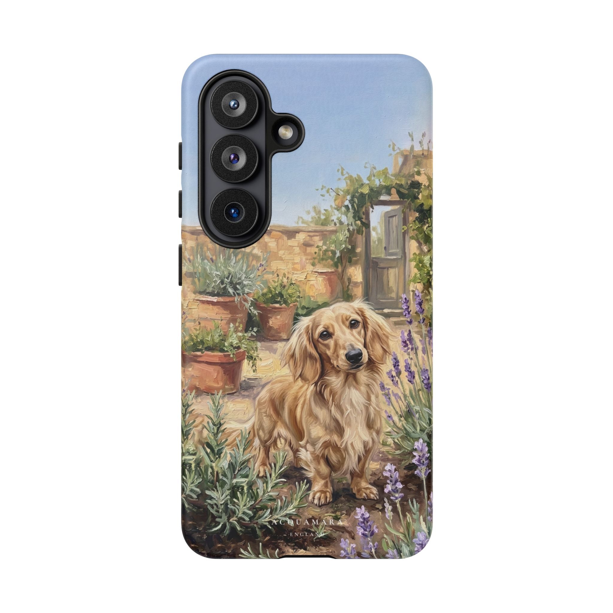 The Dachshund (Blonde long hair)