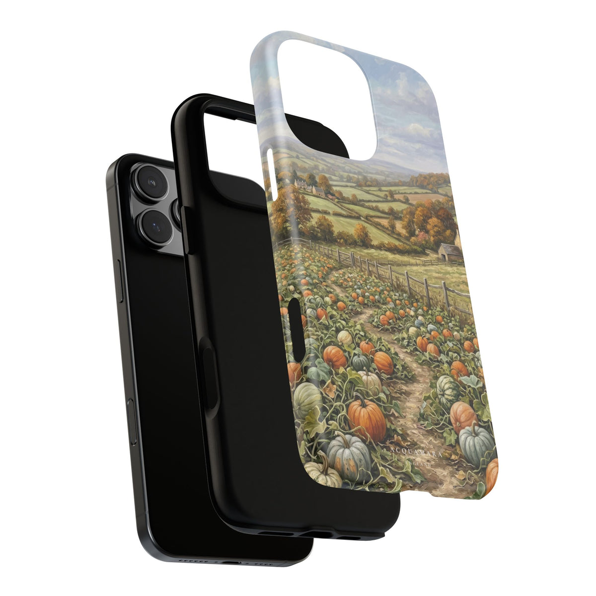 The Pumpkin Field
