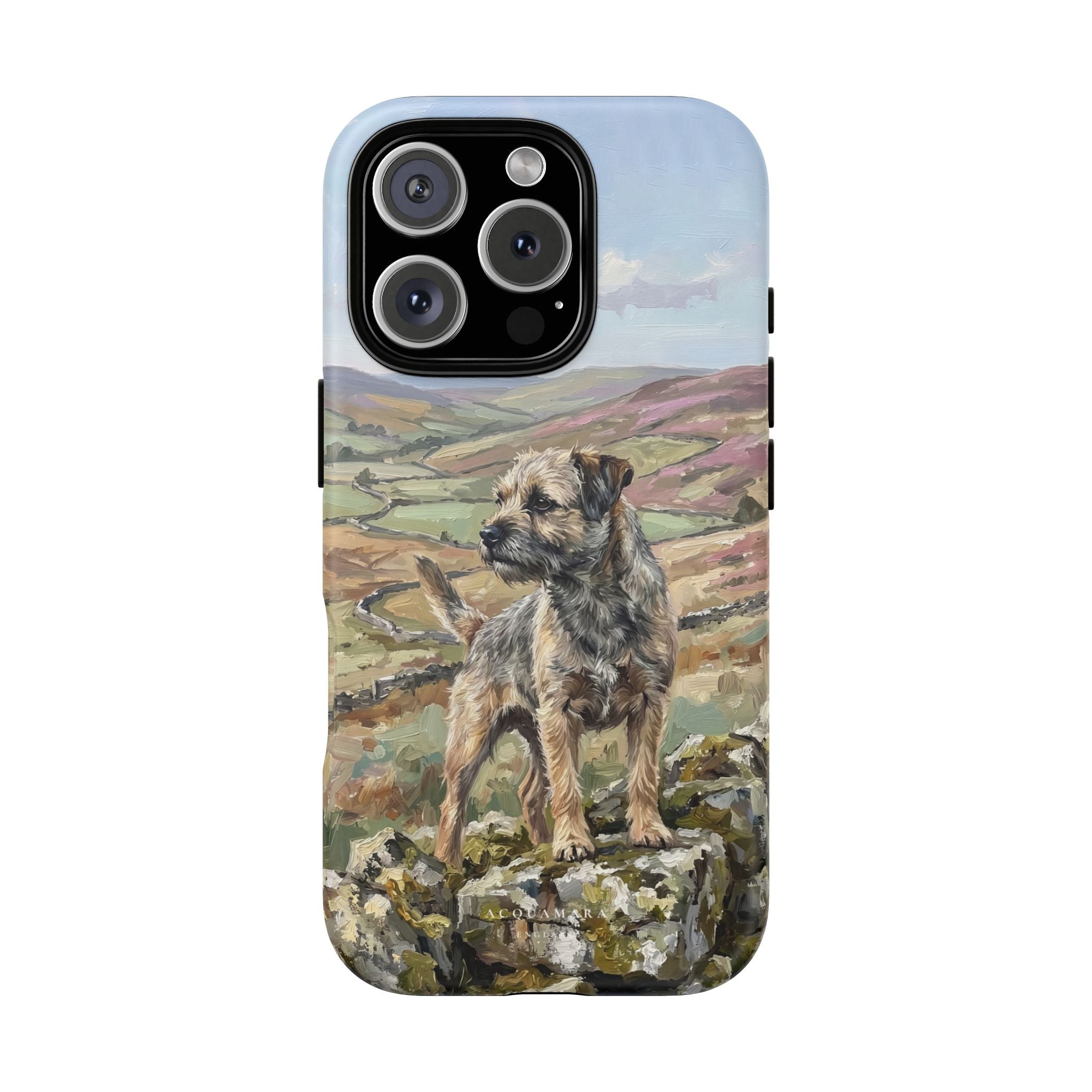 The Border Terrier (Grizzle and Tan)