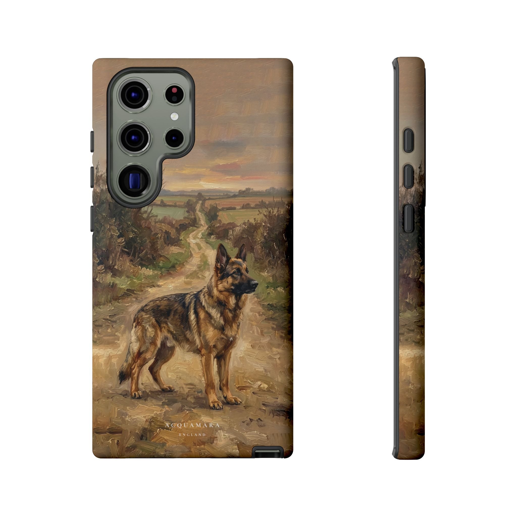 The German Shepherd