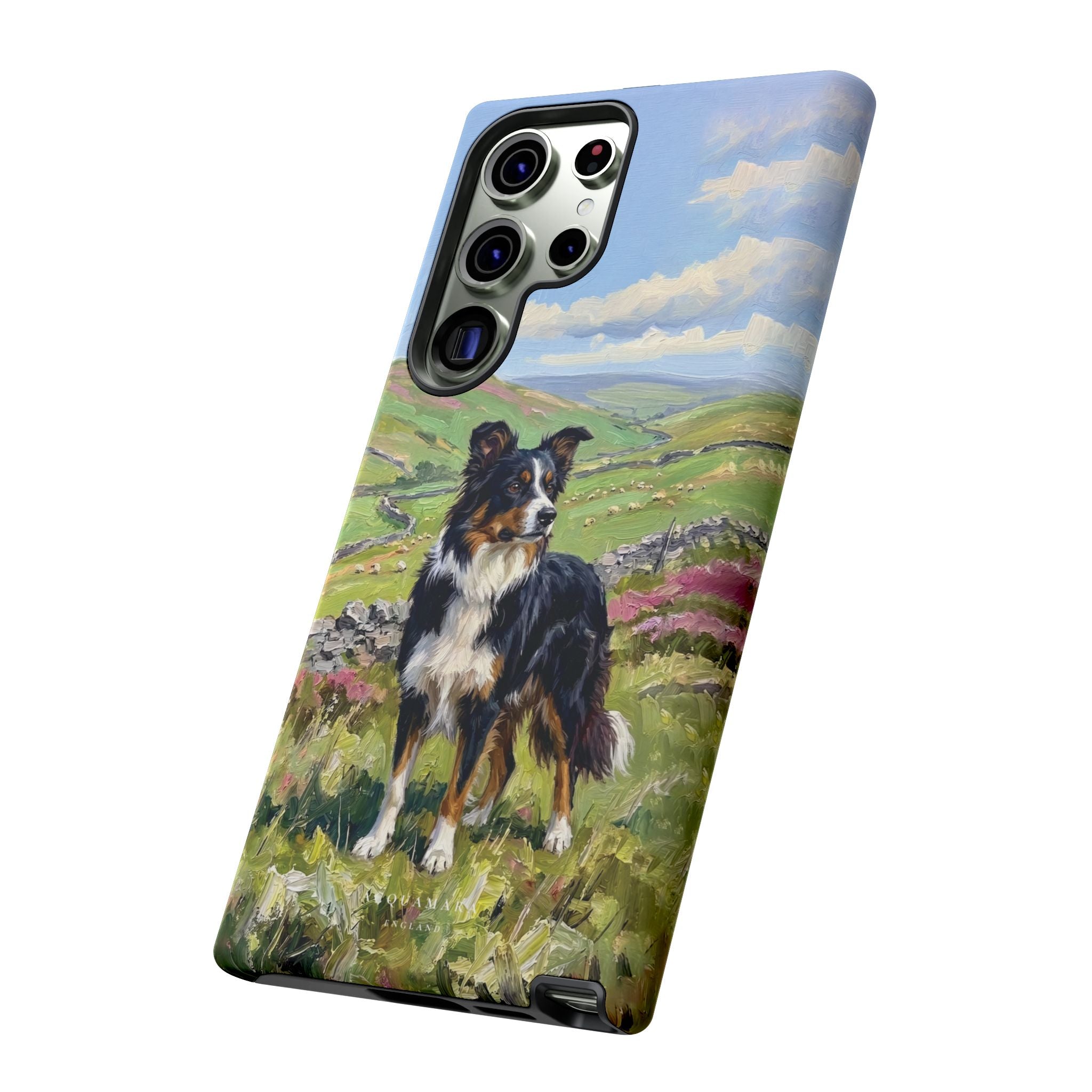 The Border Collie