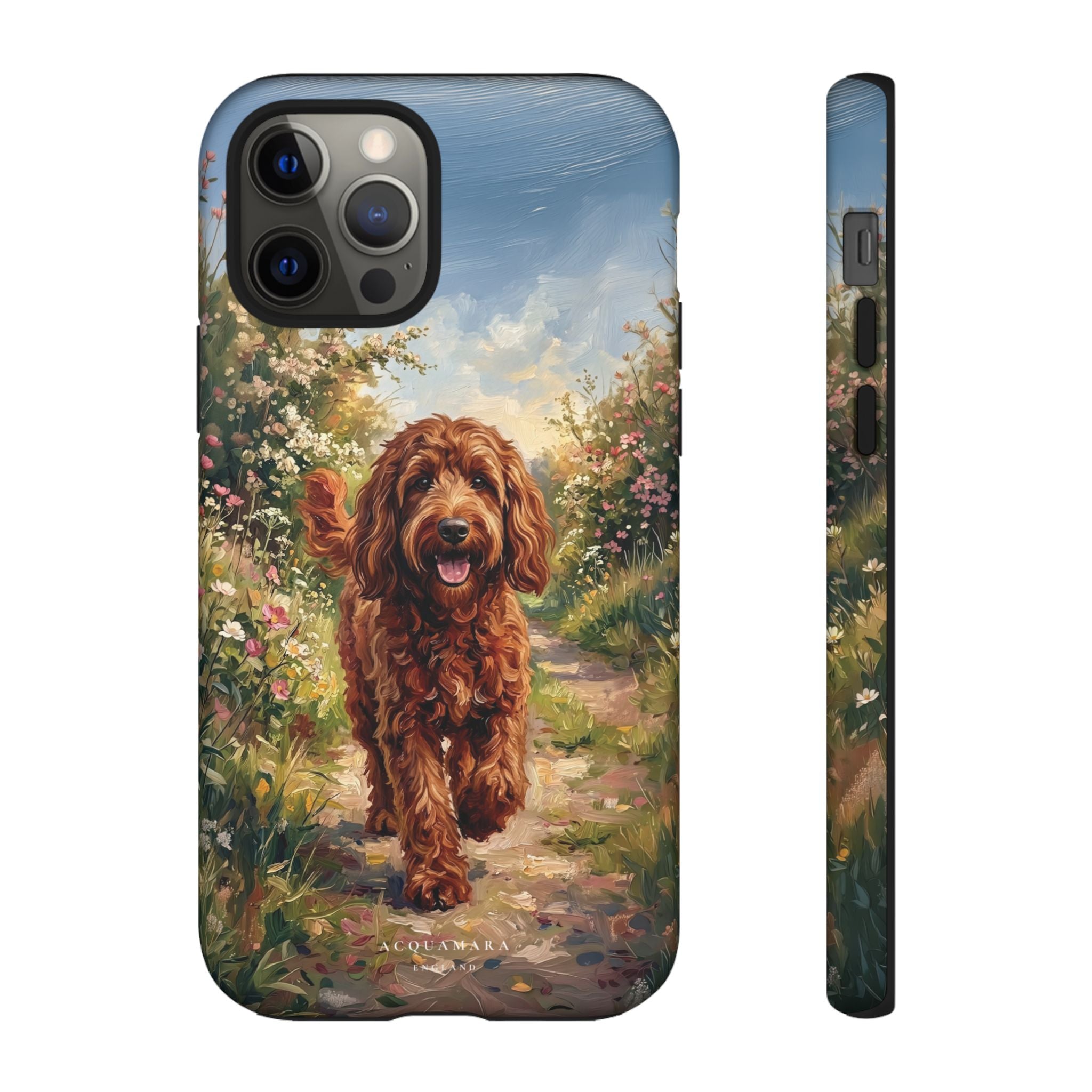The Goldendoodle