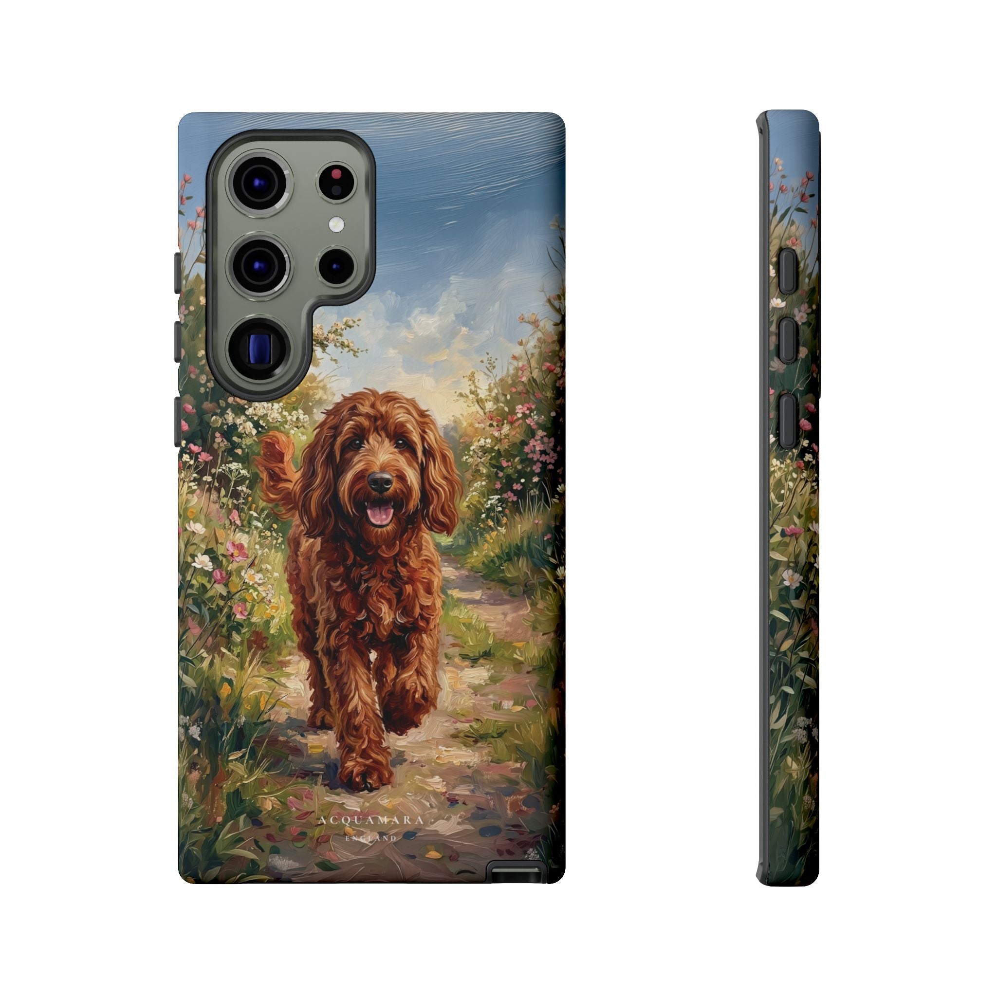 The Goldendoodle