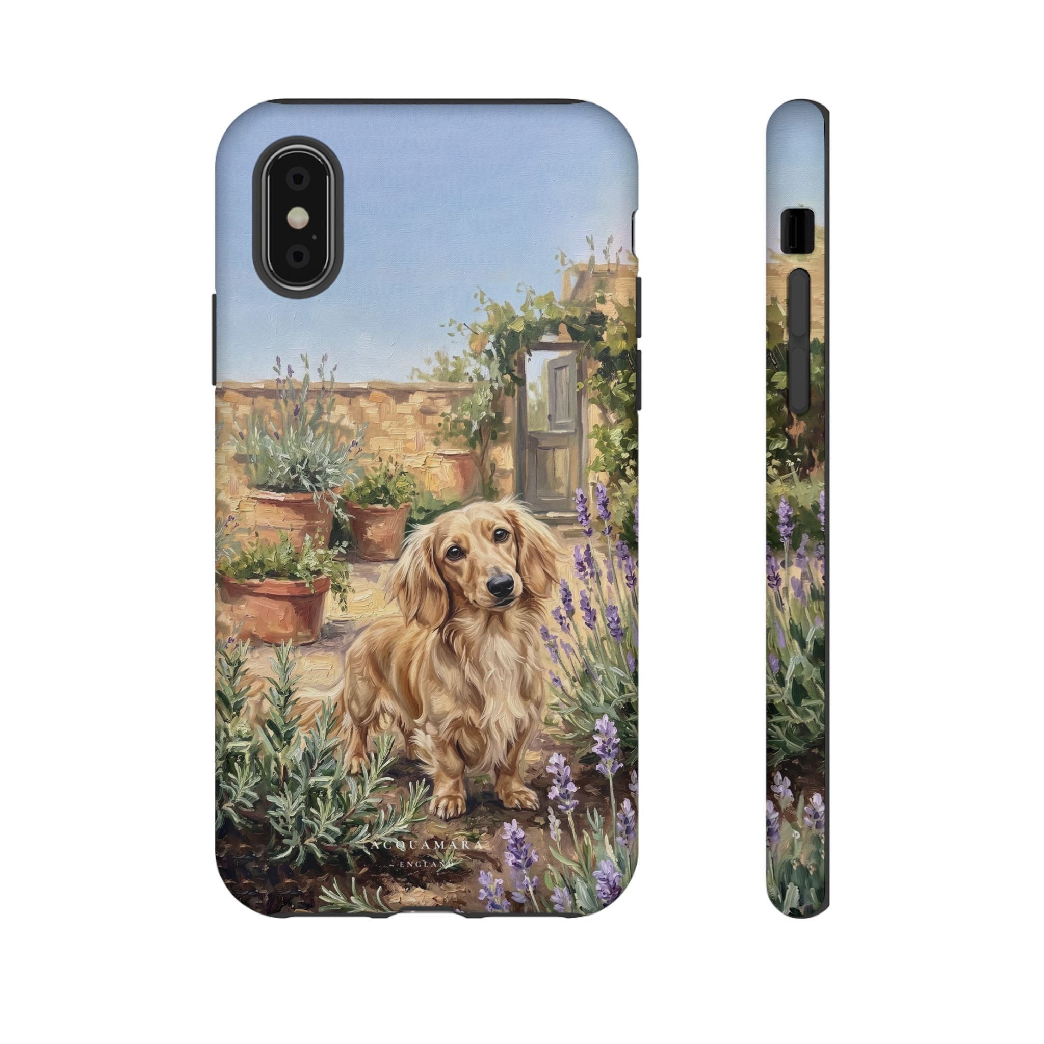 The Dachshund (Blonde long hair)