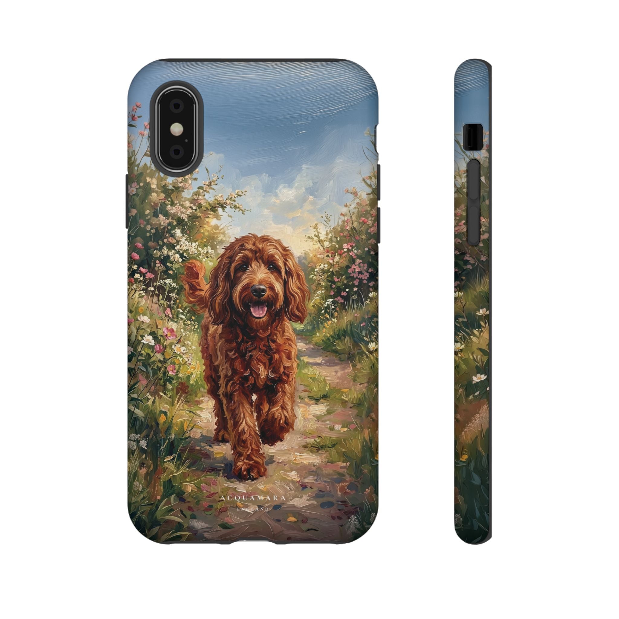 The Goldendoodle