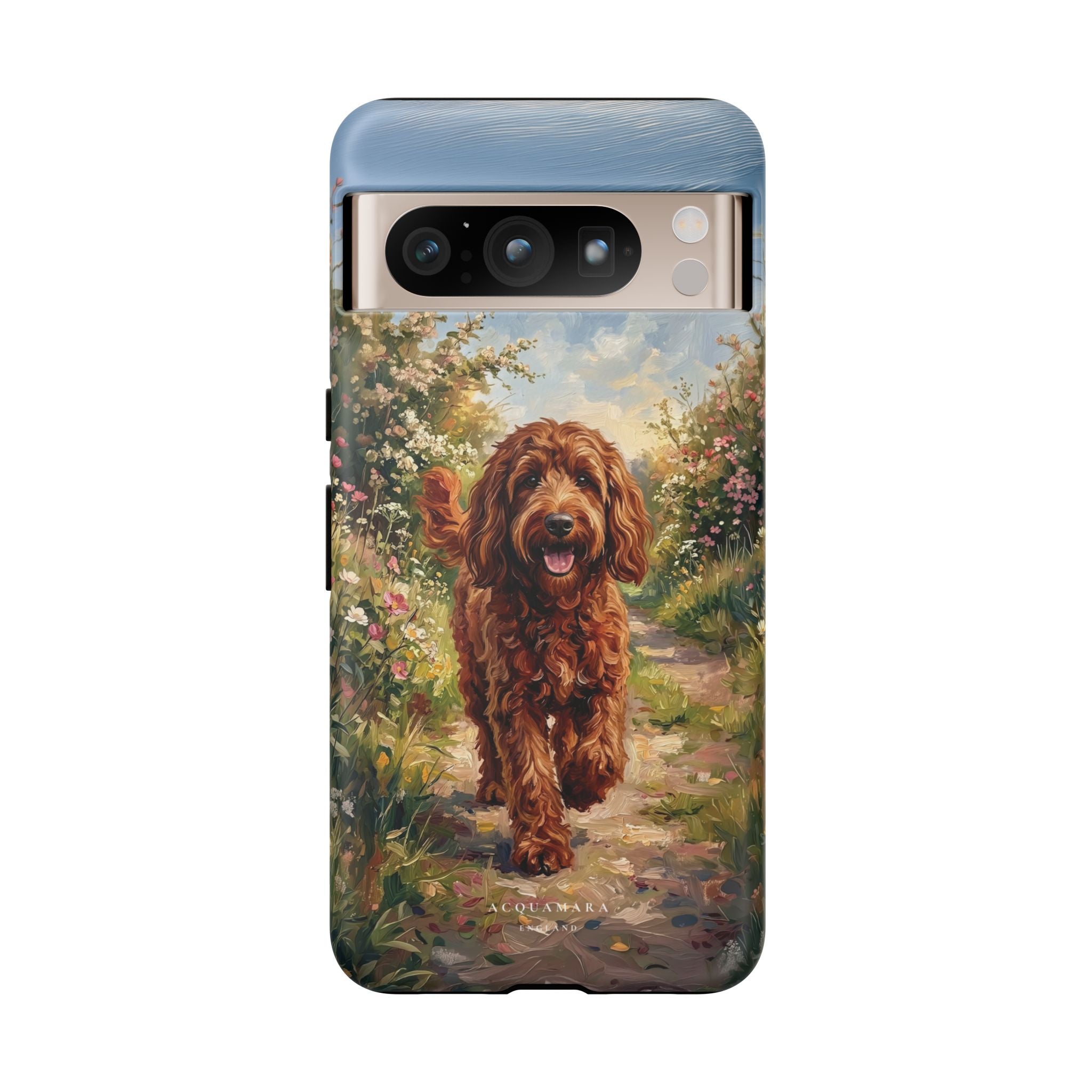 The Goldendoodle