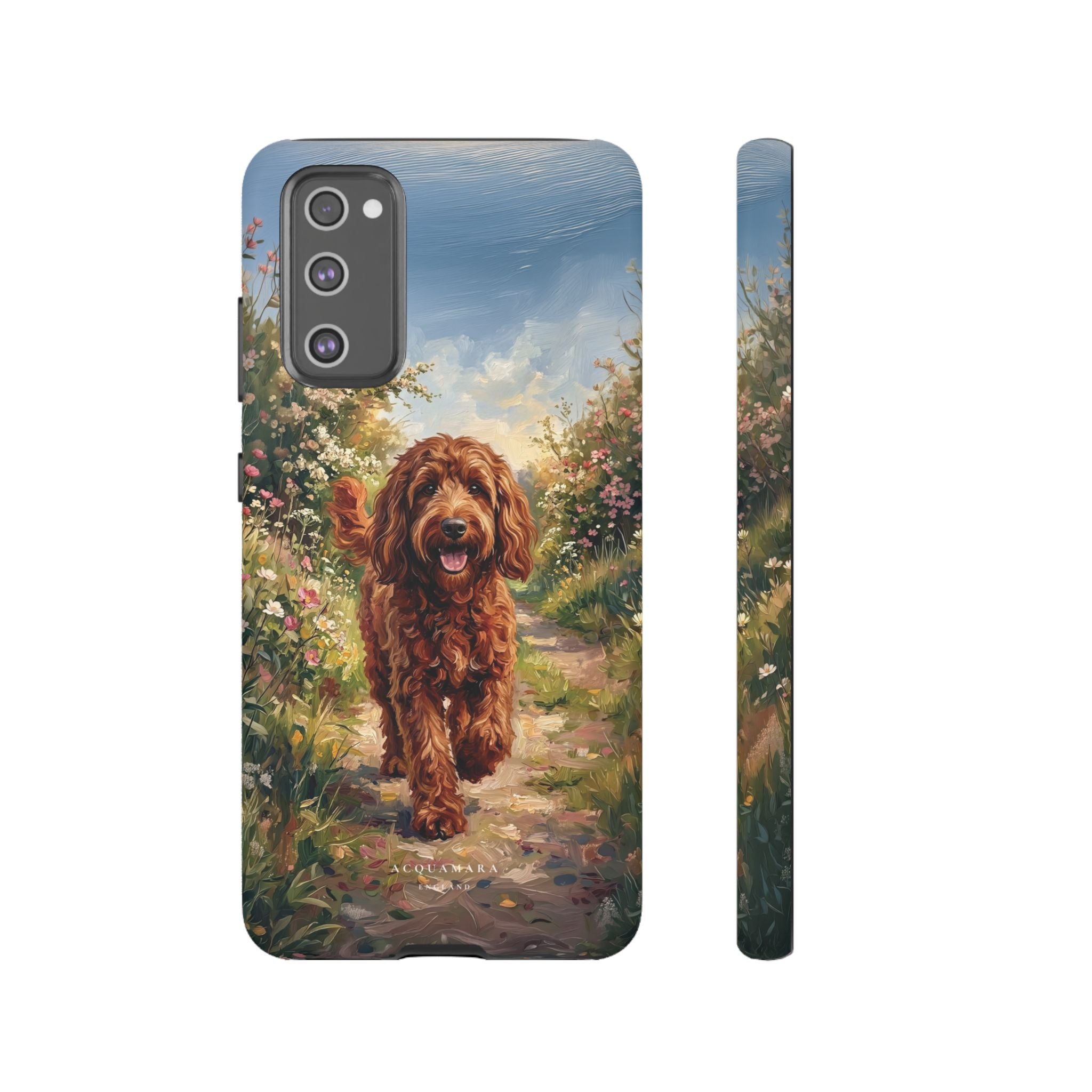 The Goldendoodle