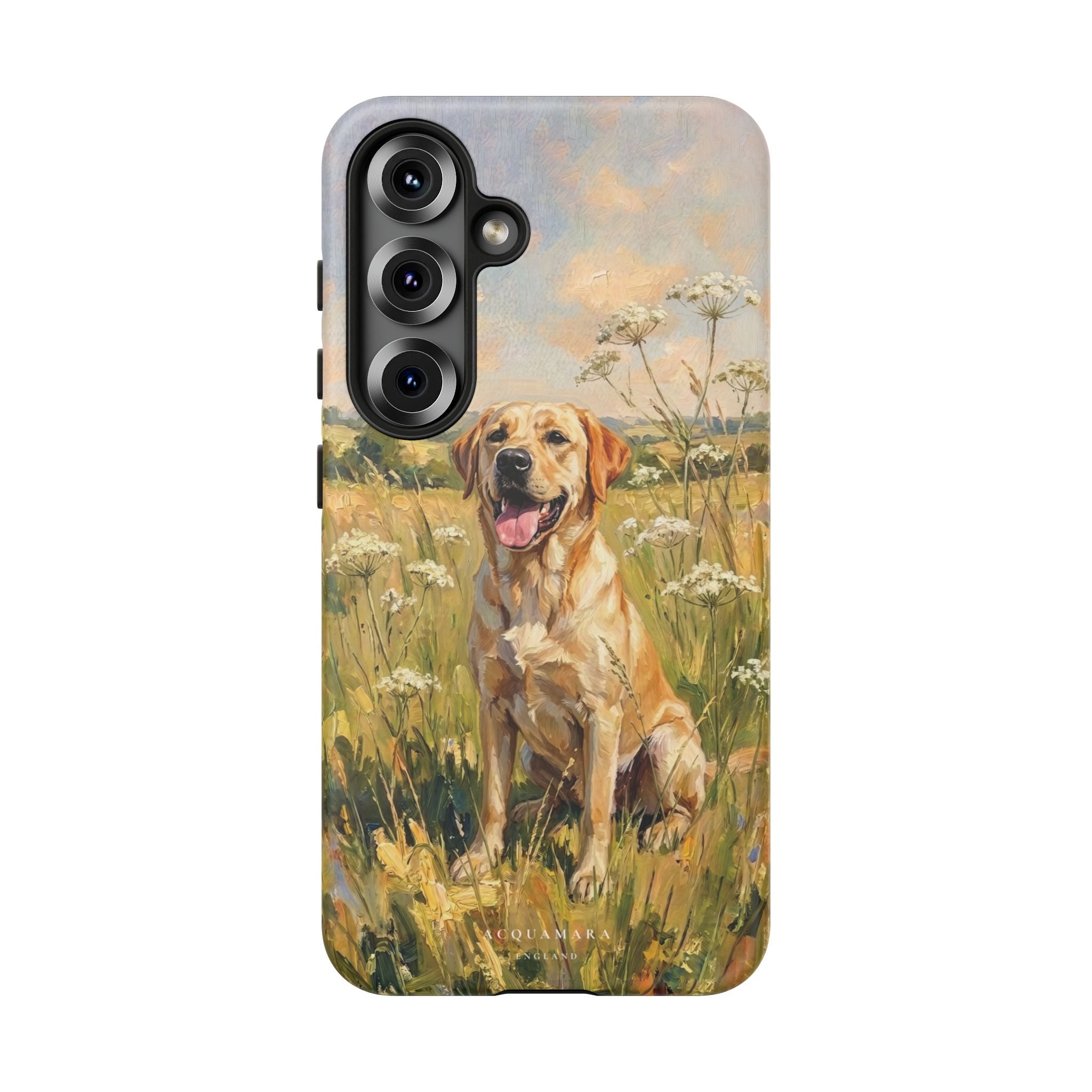 The Labrador (Yellow)