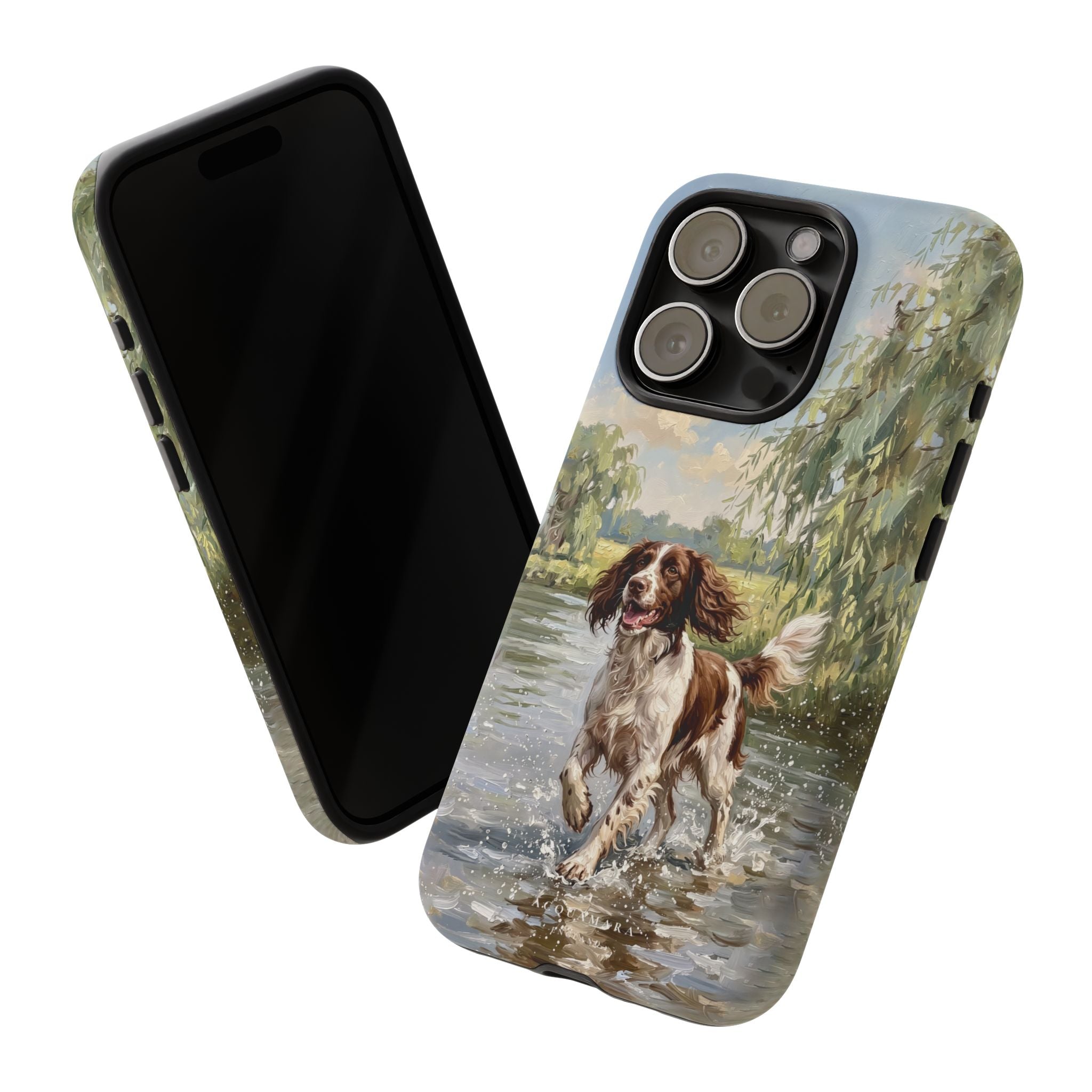 The Springer Spaniel (Liver and White)