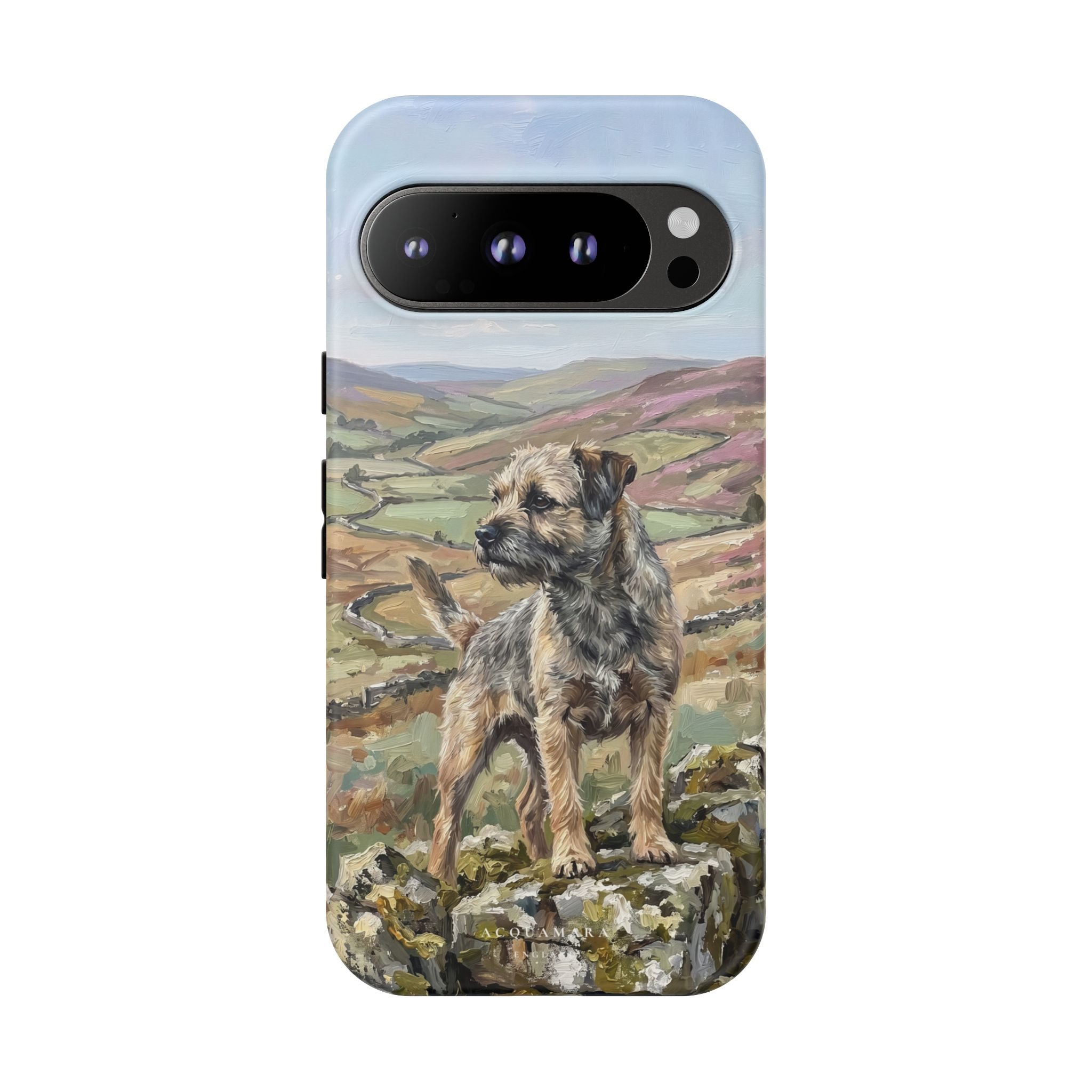 The Border Terrier (Grizzle and Tan)