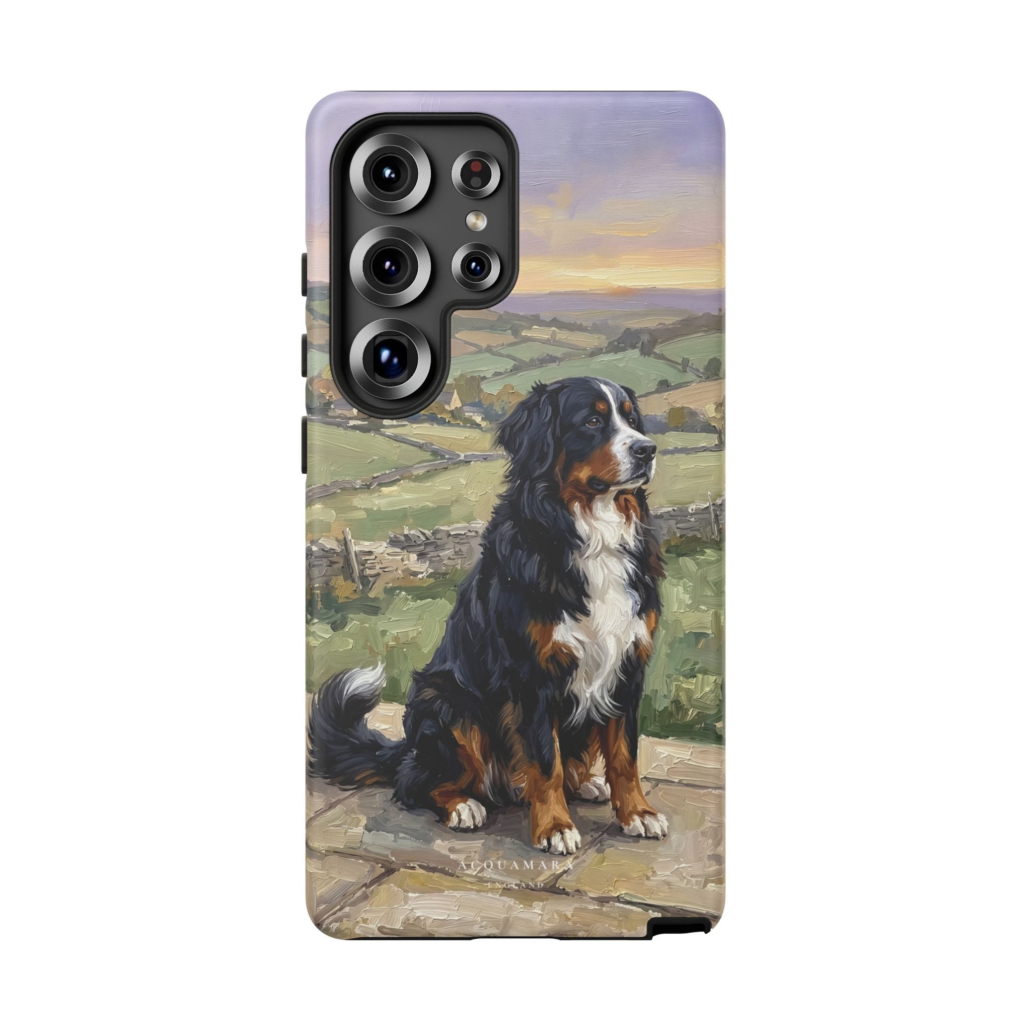 The Bernese Mountain Dog