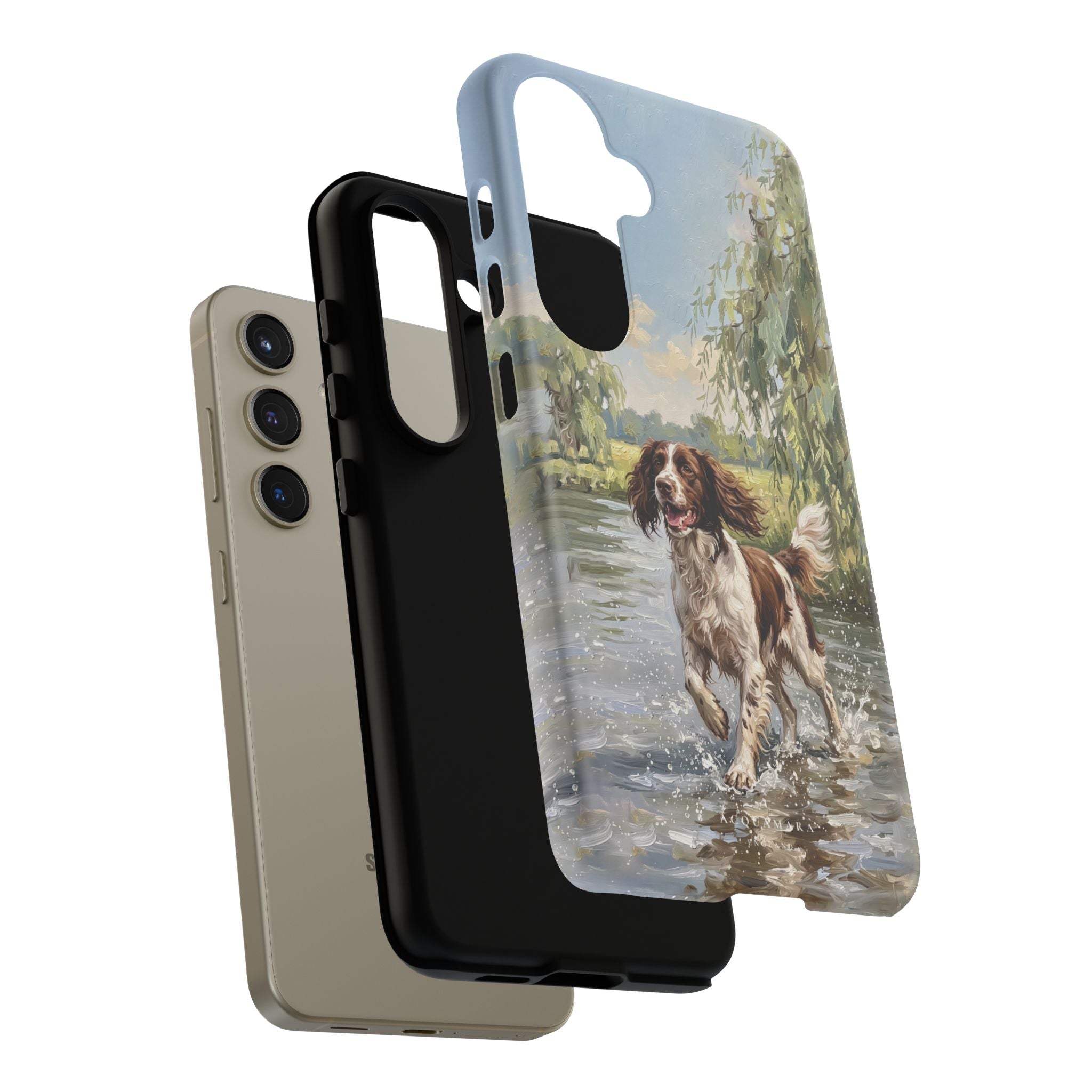 The Springer Spaniel (Liver and White)