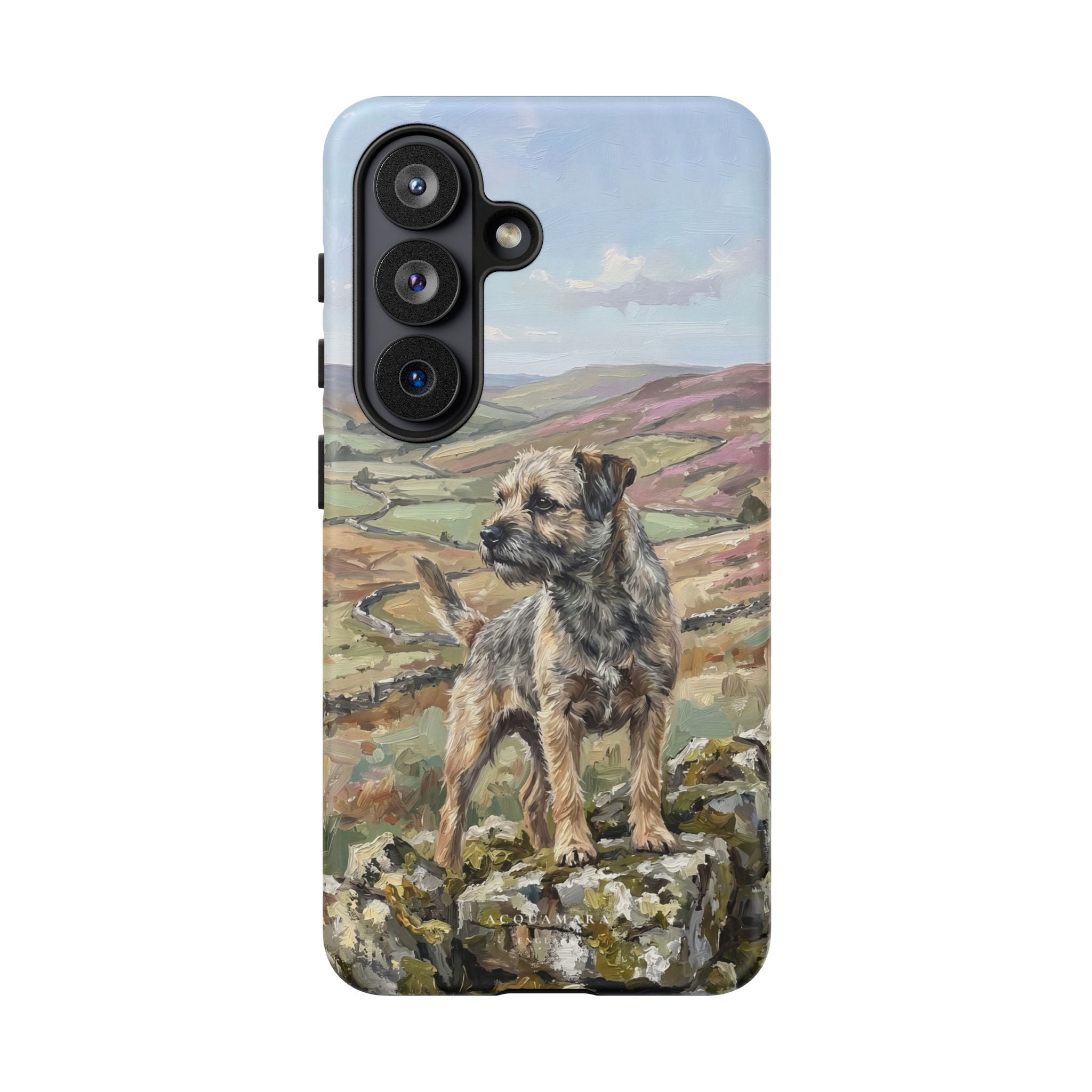 The Border Terrier (Grizzle and Tan)