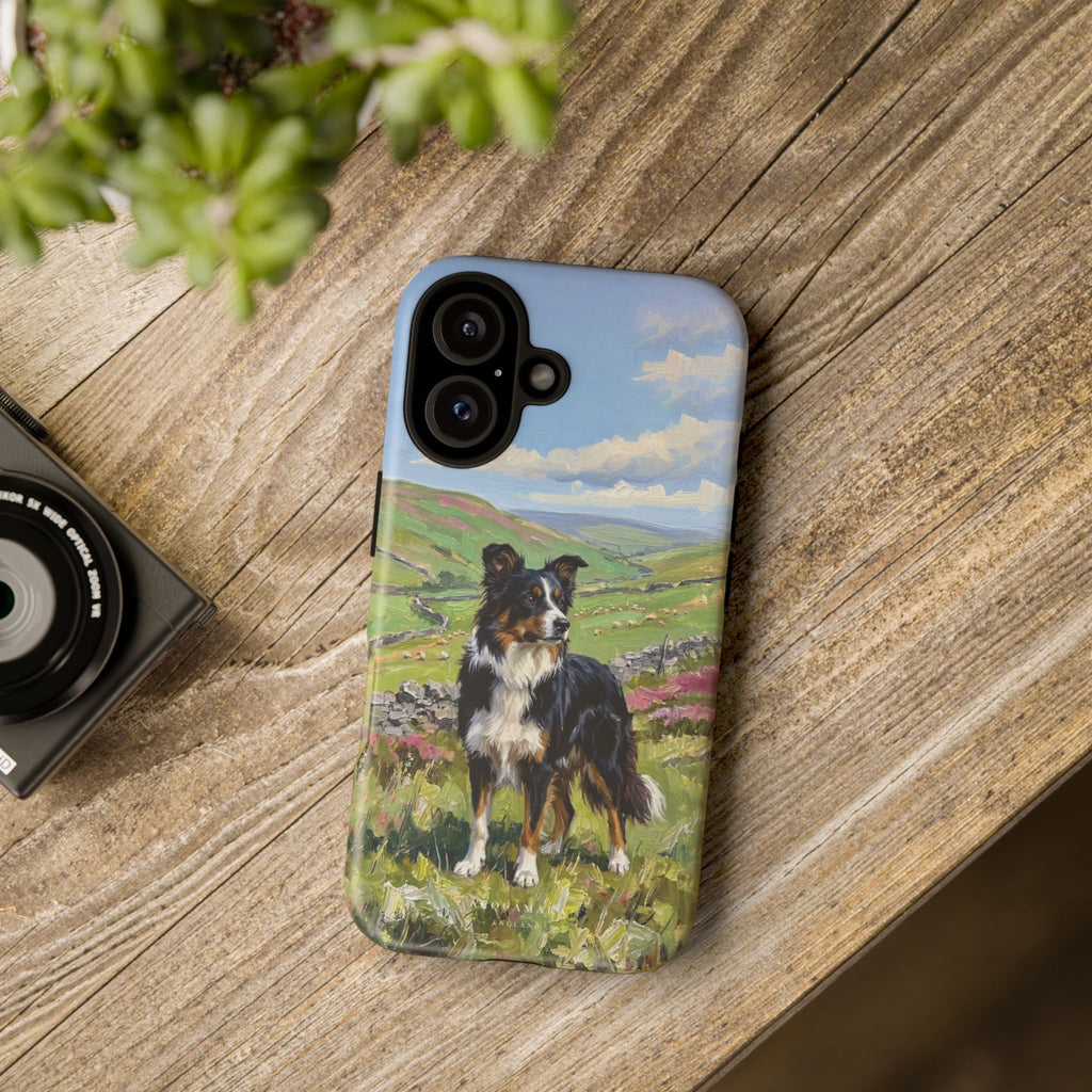 The Border Collie