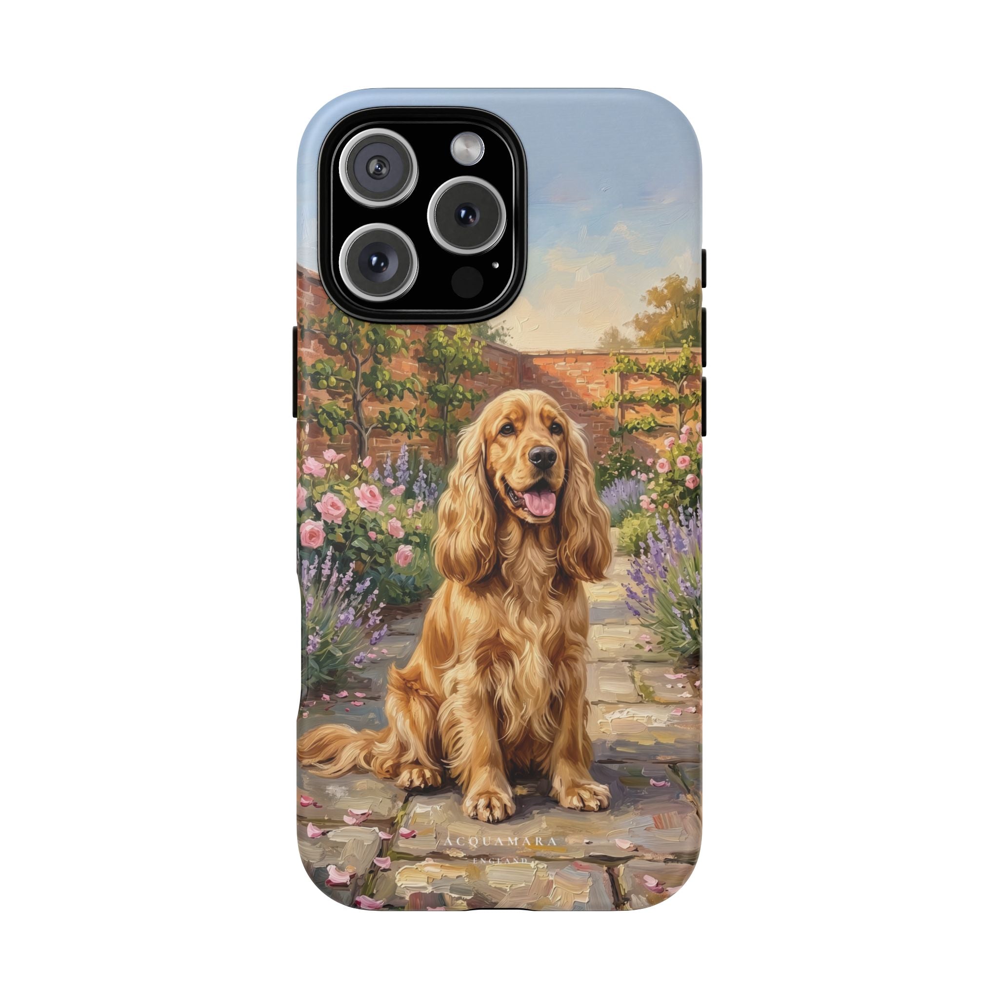 The Show Cocker (Golden)
