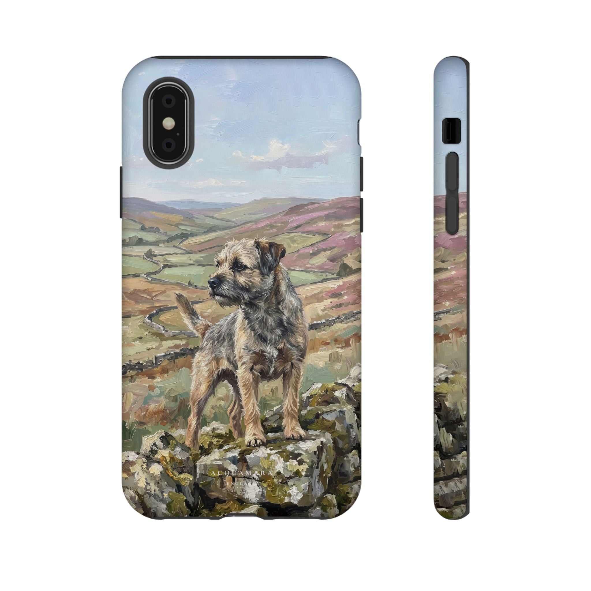 The Border Terrier (Grizzle and Tan)