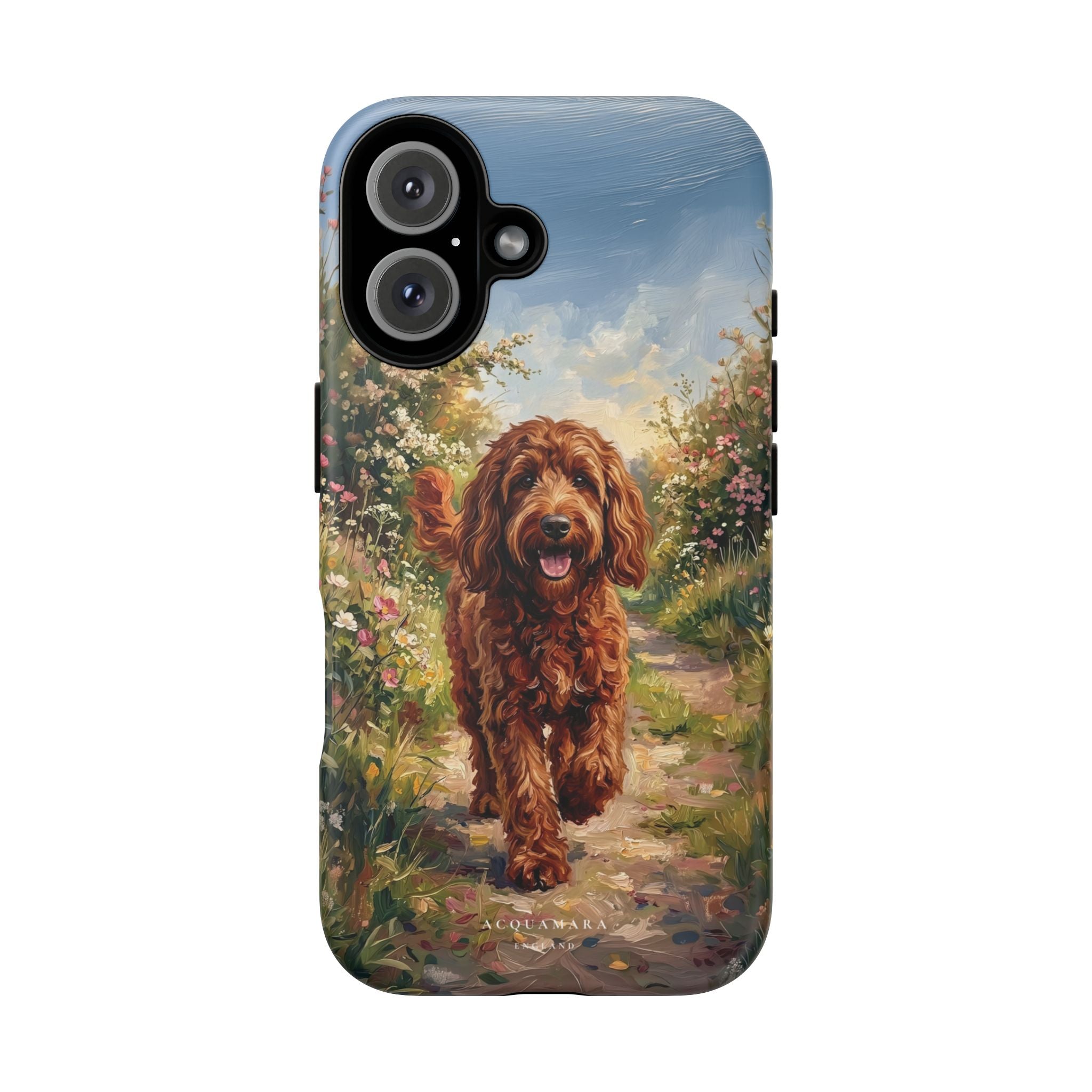The Goldendoodle