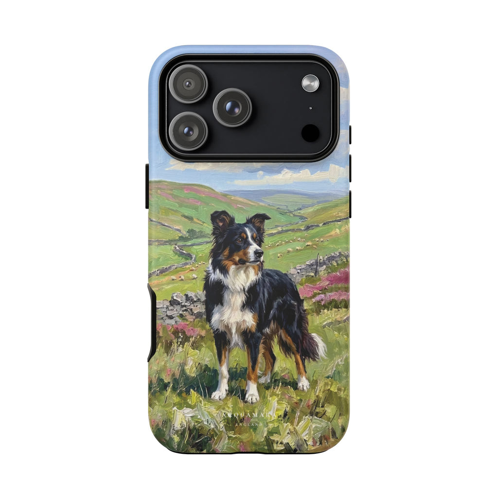 The Border Collie