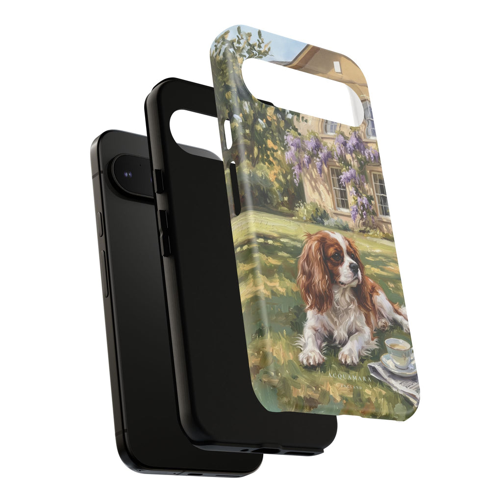 The Cavalier King Charles Spaniel