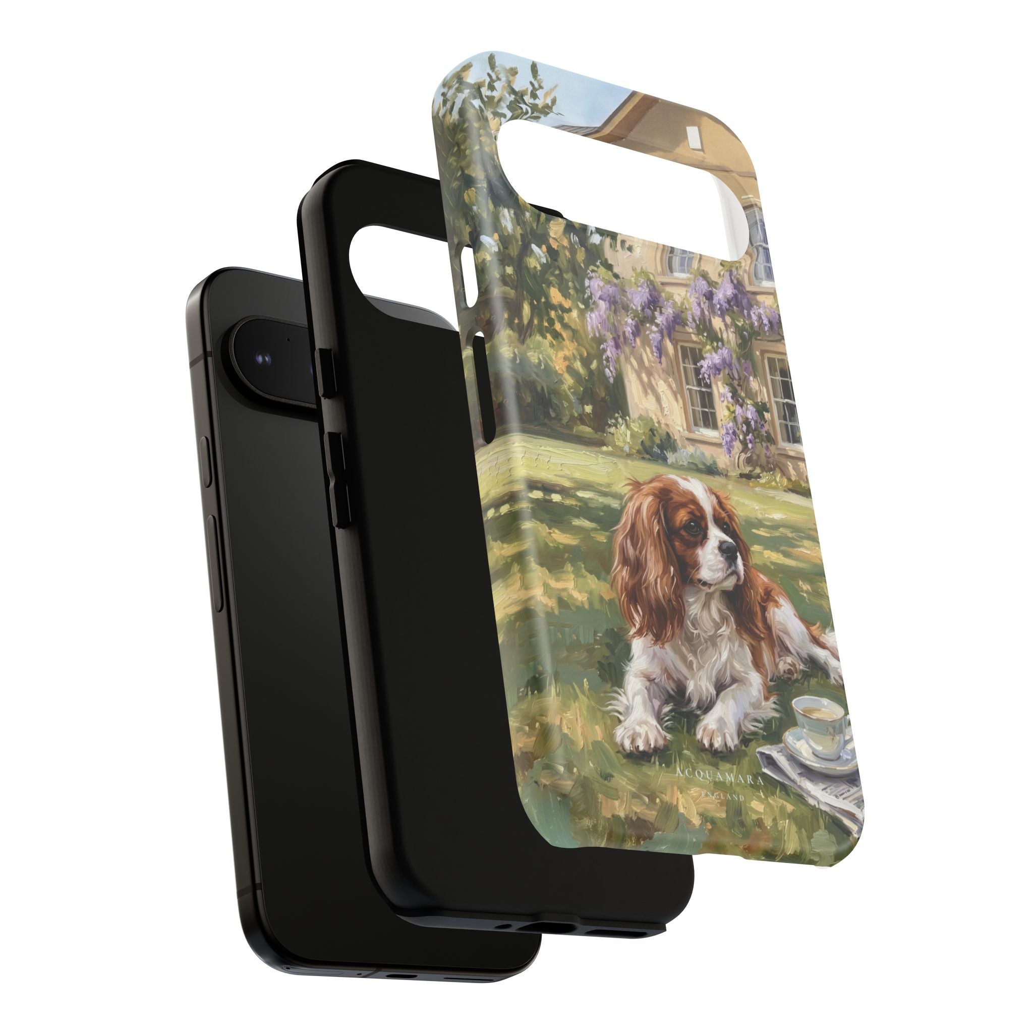 The Cavalier King Charles Spaniel