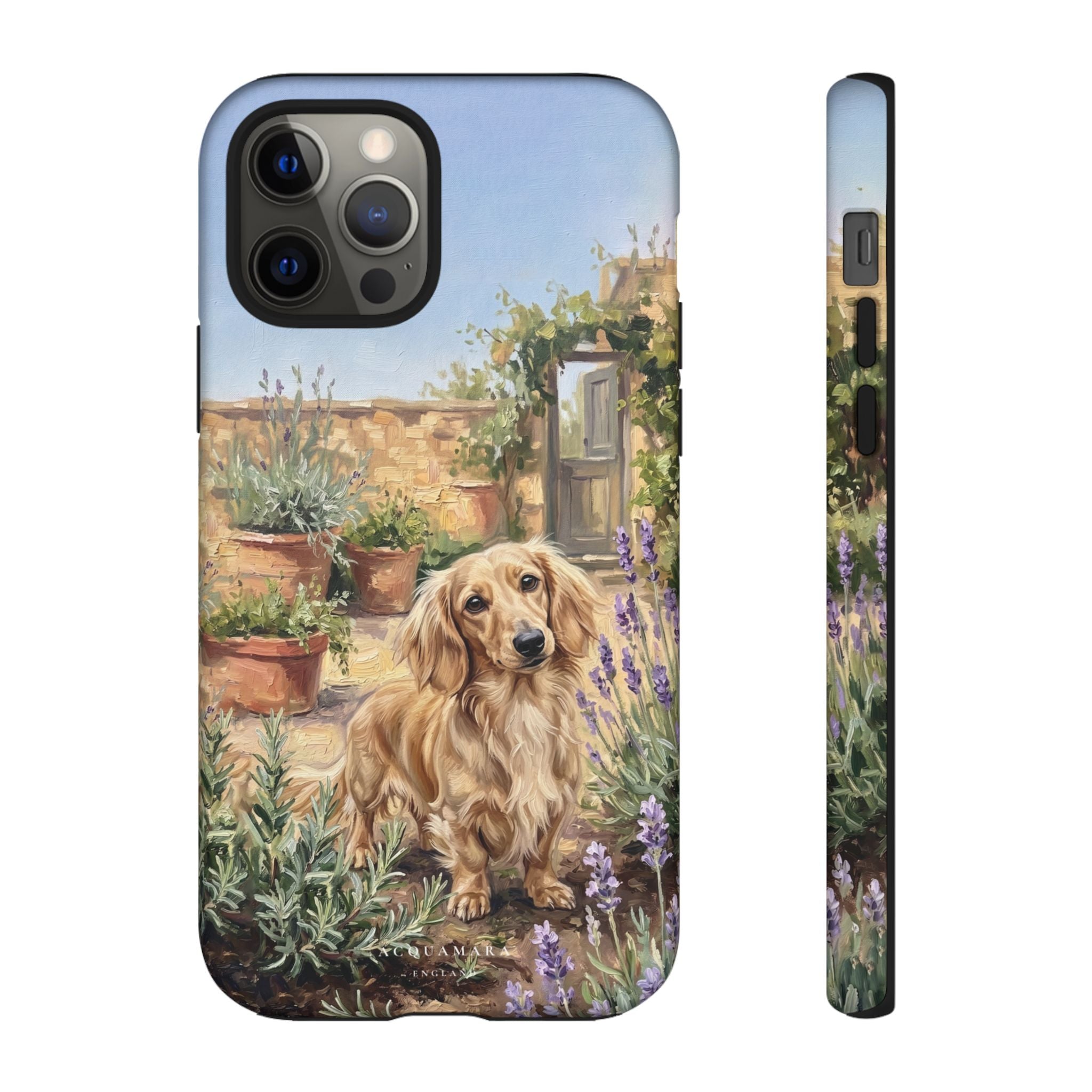 The Dachshund (Blonde long hair)