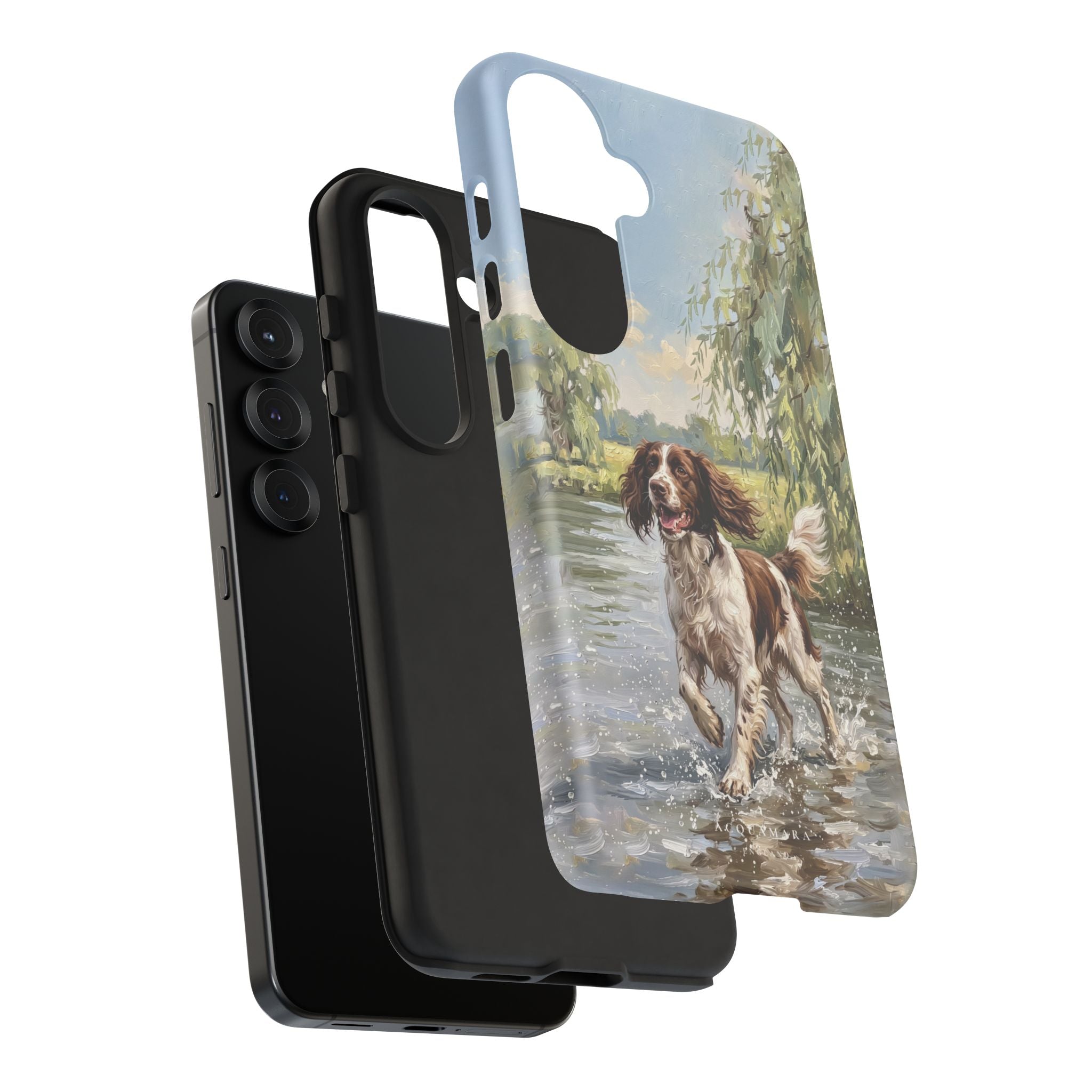 The Springer Spaniel (Liver and White)