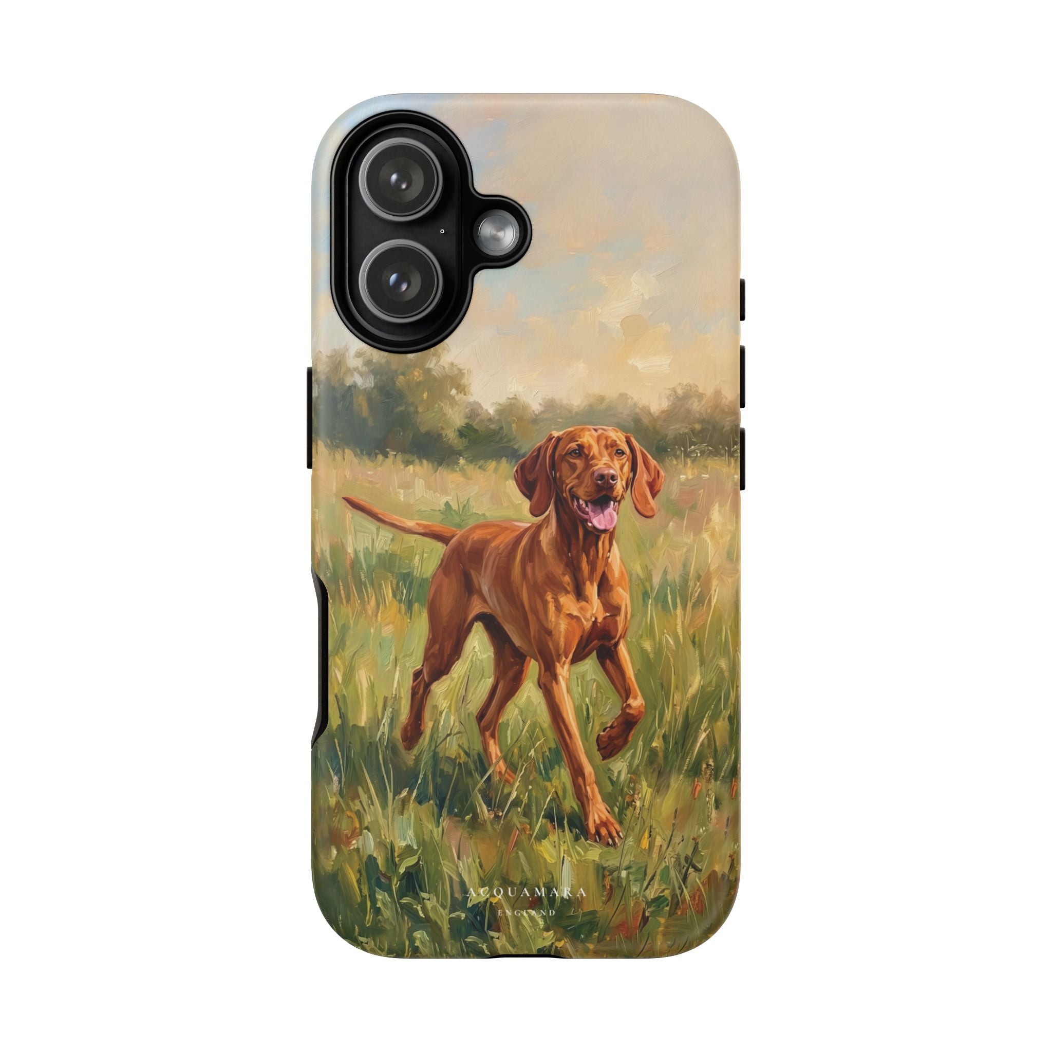 The Hungarian Vizsla