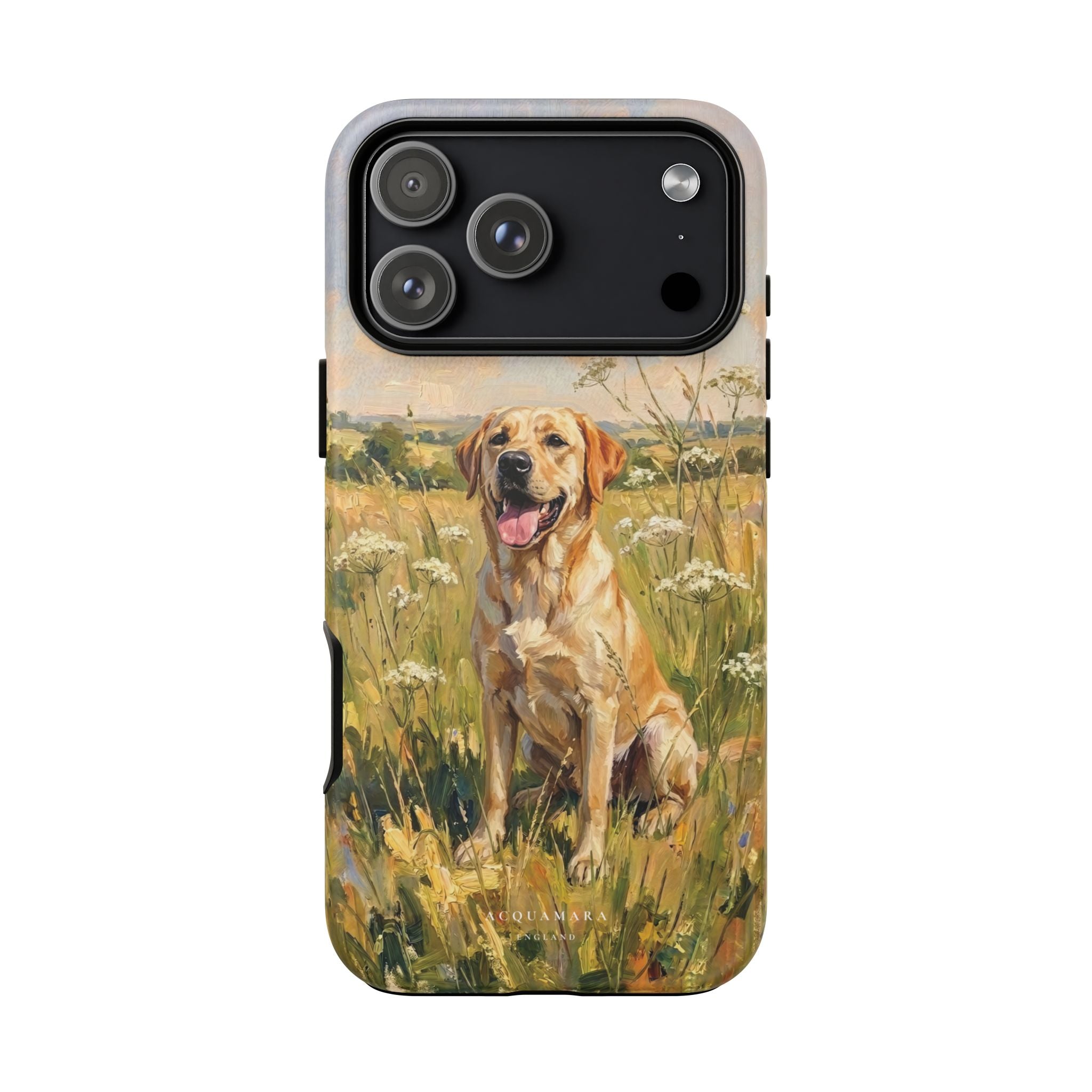 The Labrador (Yellow)