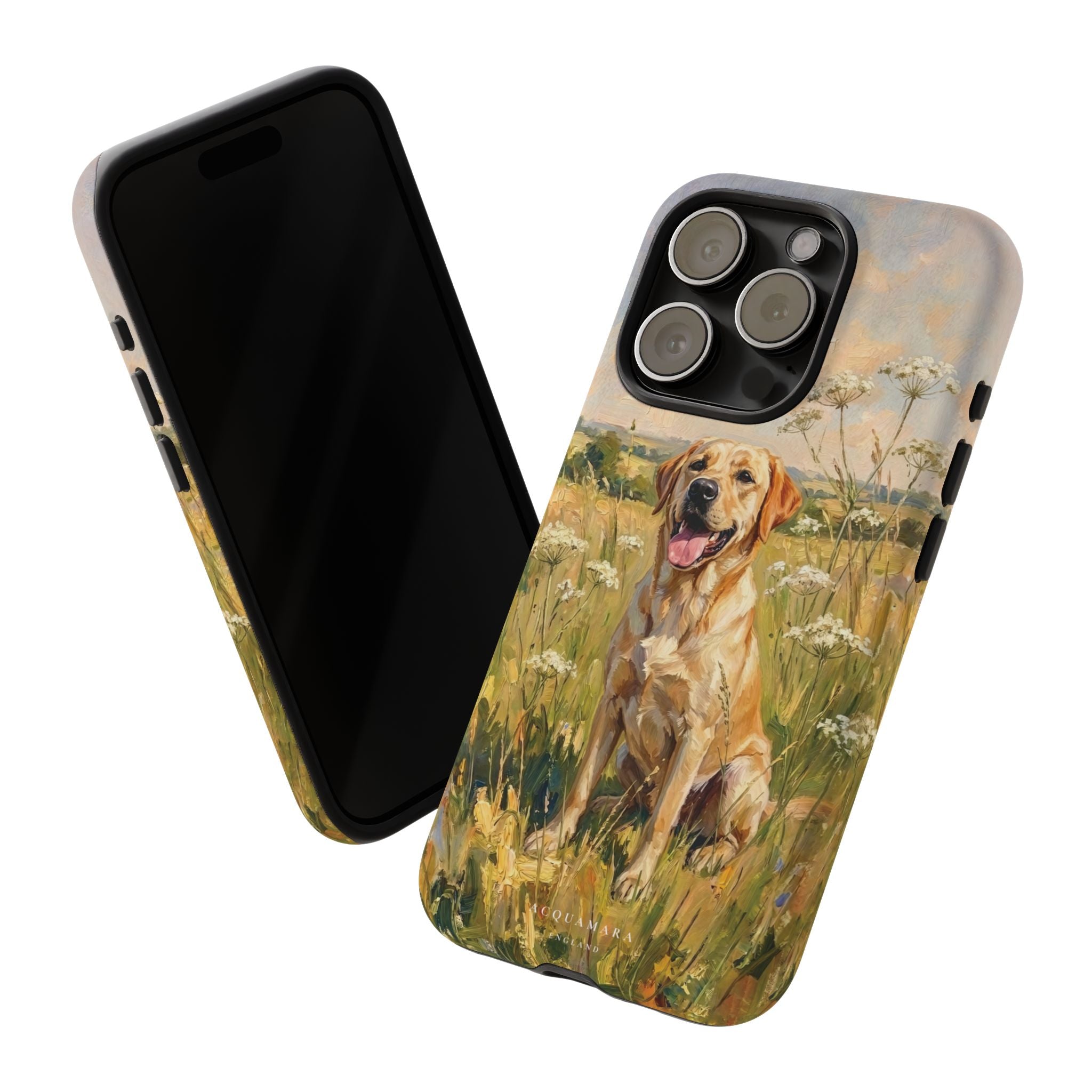 The Labrador (Yellow)
