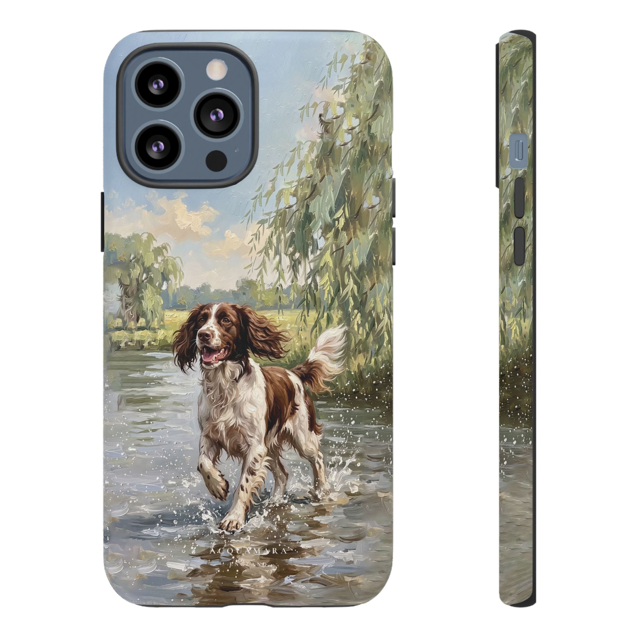 The Springer Spaniel (Liver and White)