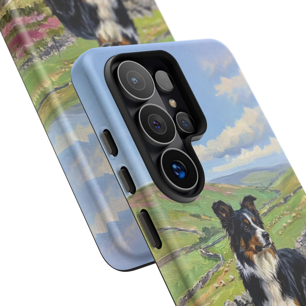 The Border Collie
