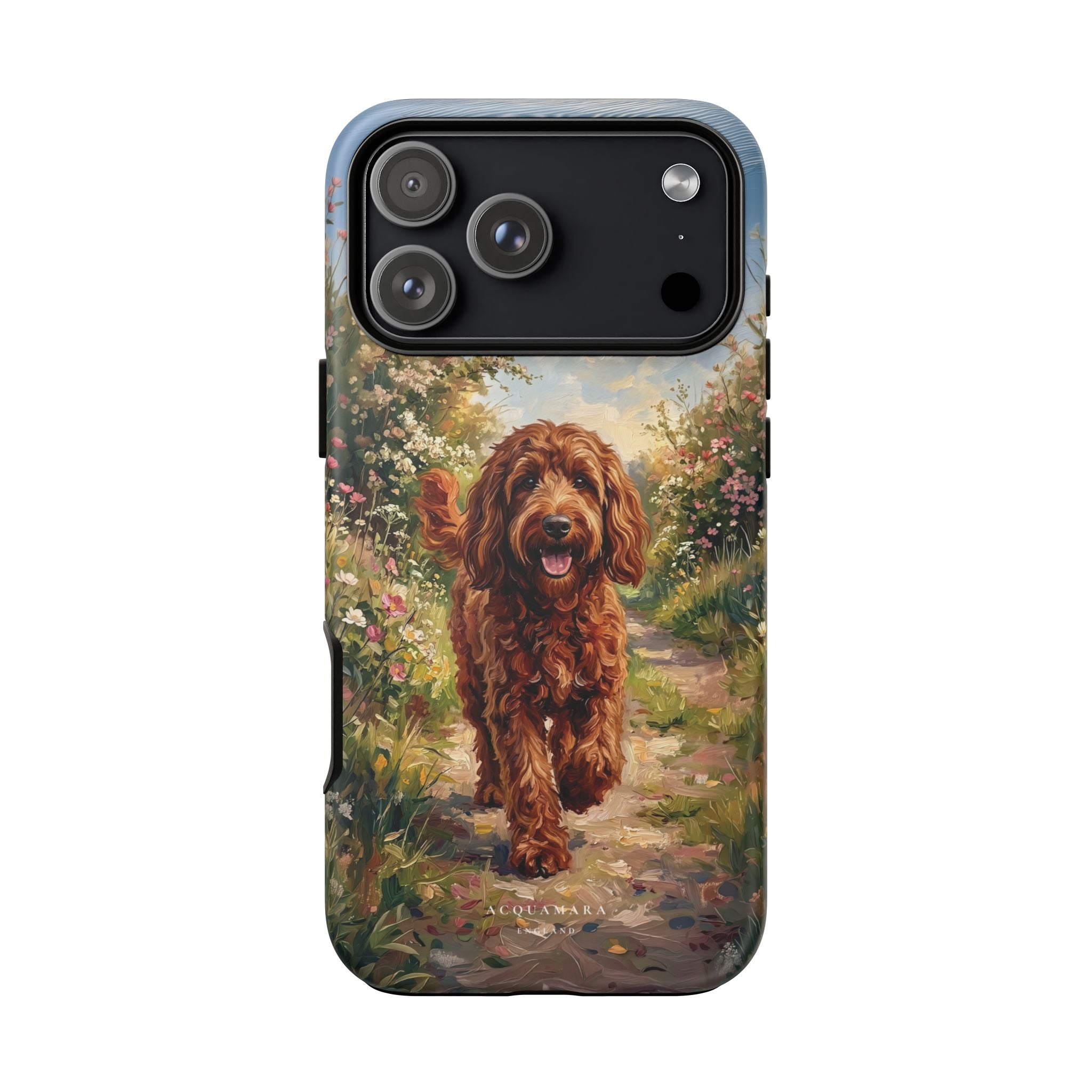 The Goldendoodle
