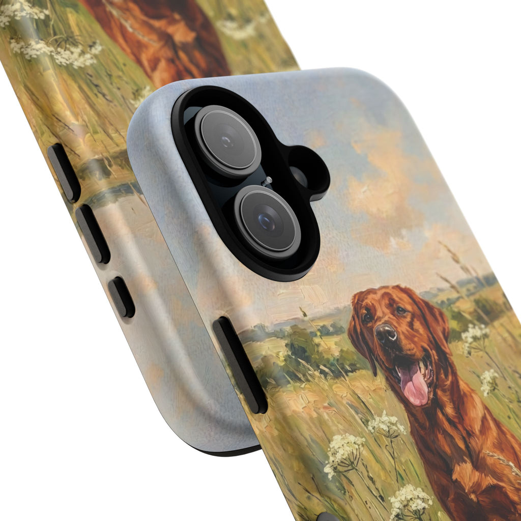 The Labrador (Red)