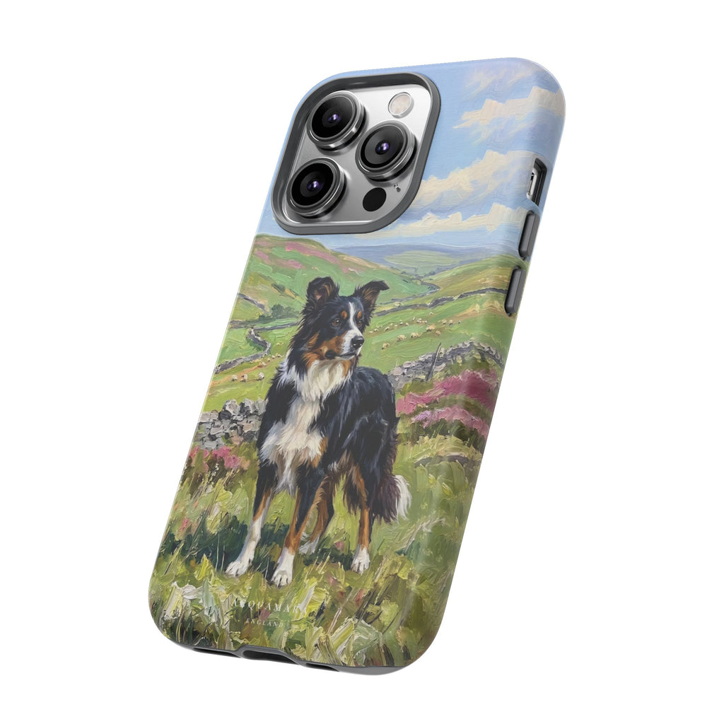 The Border Collie