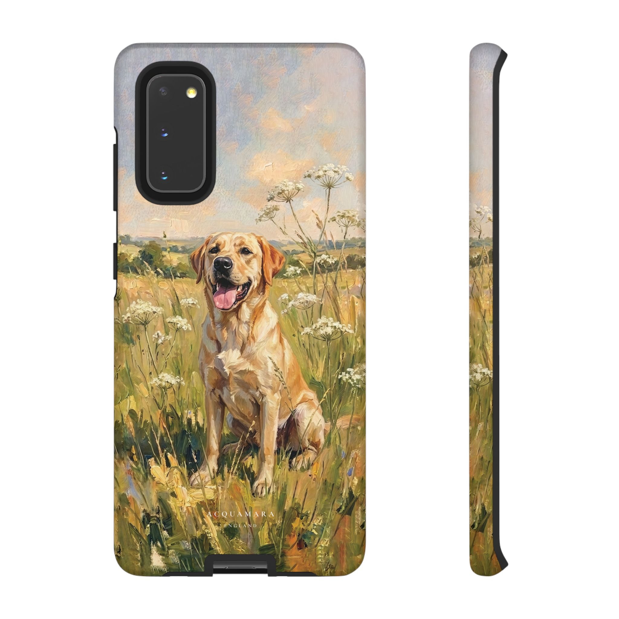 The Labrador (Yellow)