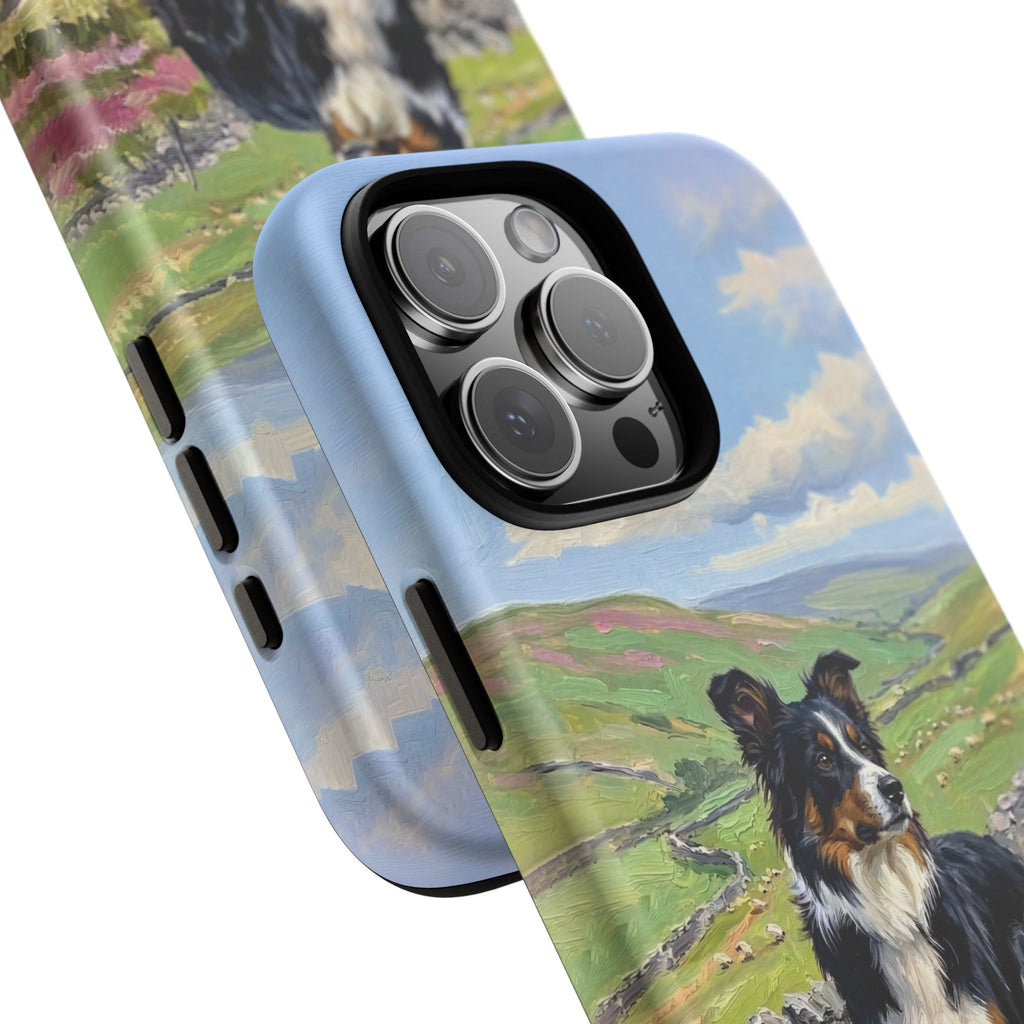 The Border Collie