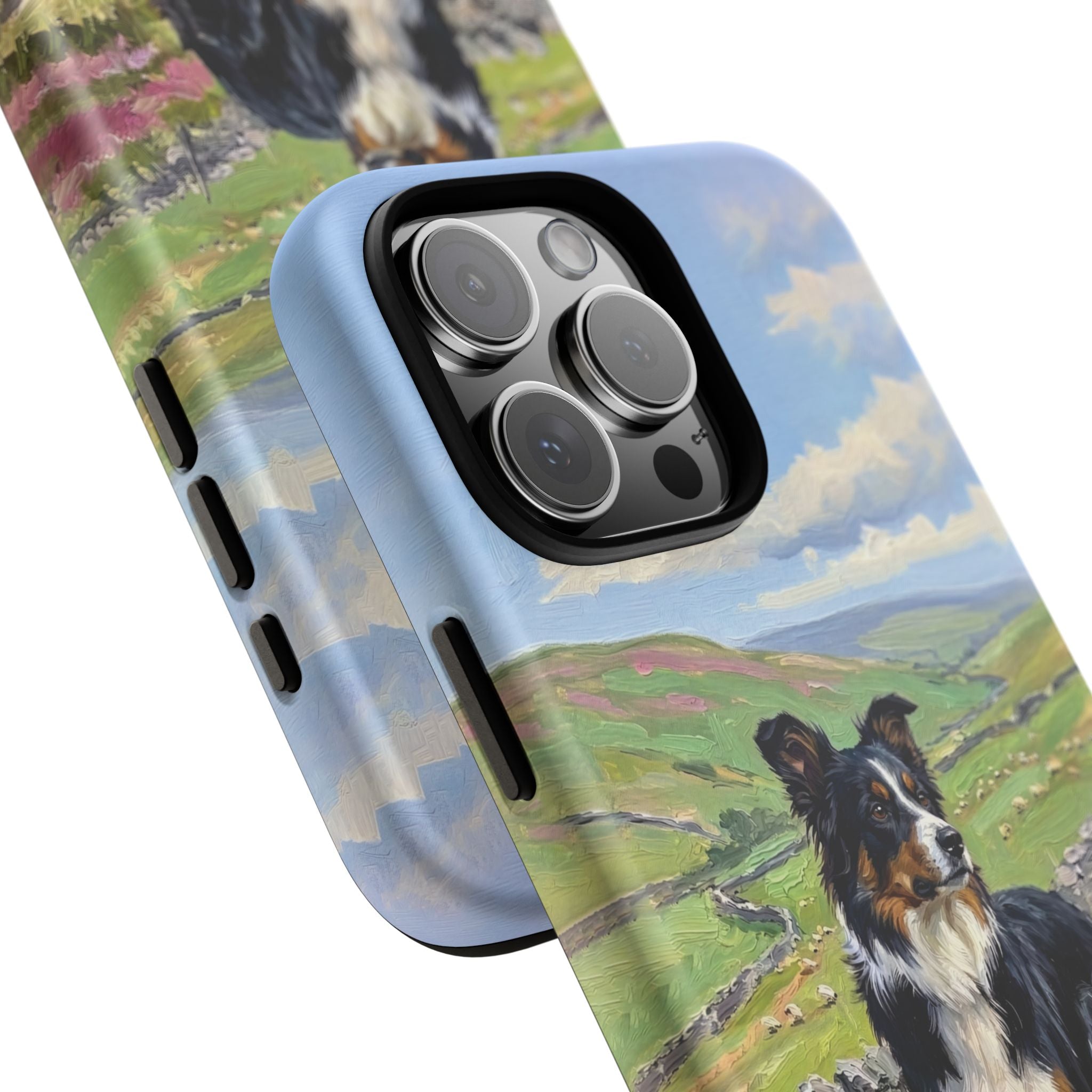 The Border Collie