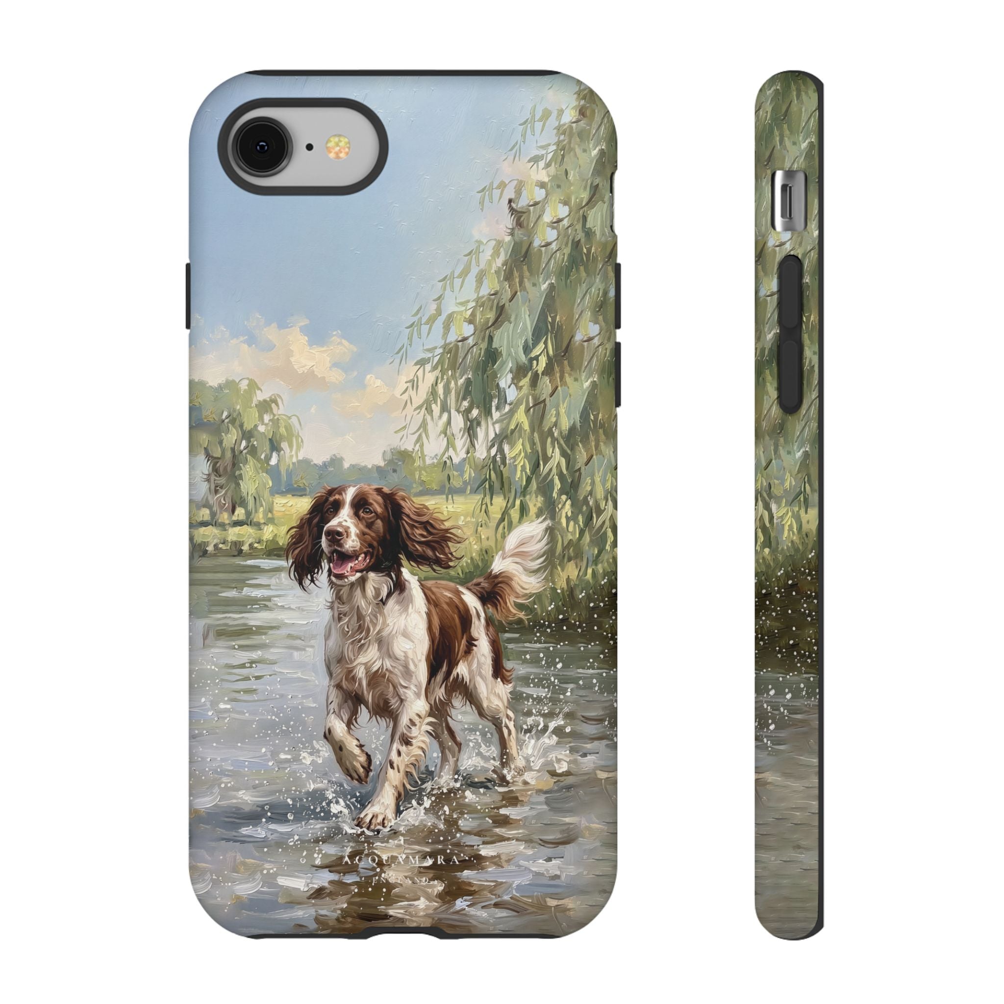 The Springer Spaniel (Liver and White)