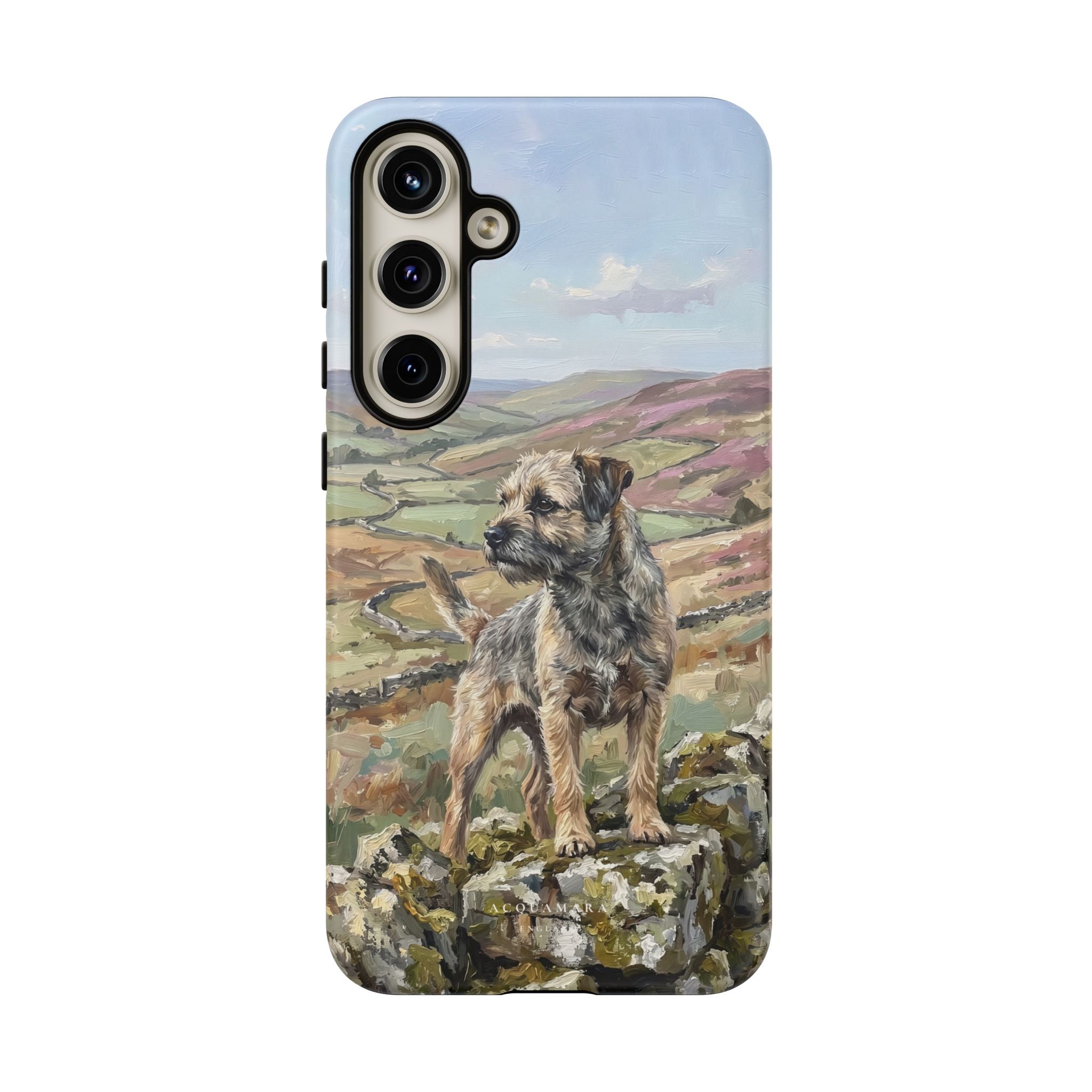 The Border Terrier (Grizzle and Tan)