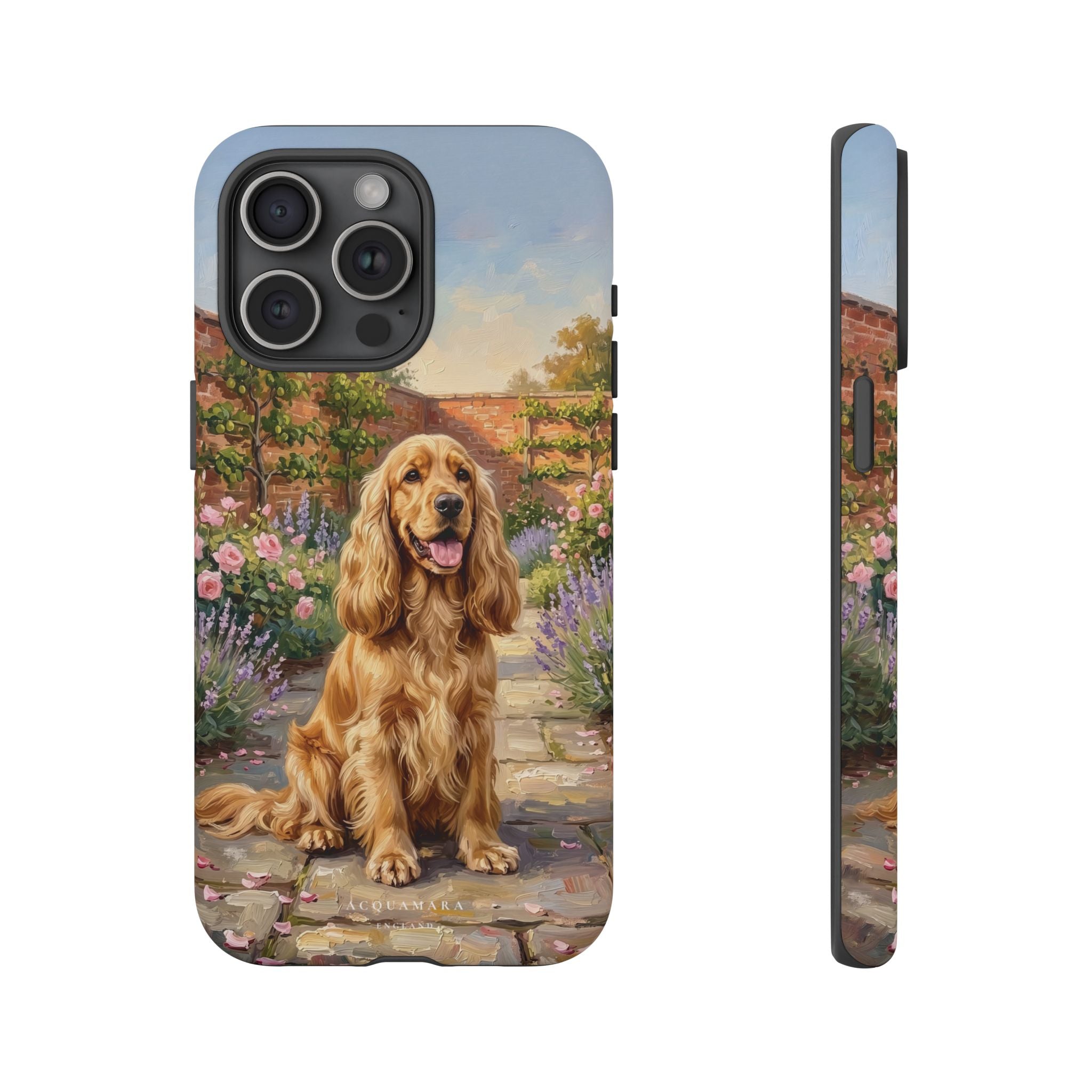 The Show Cocker (Golden)