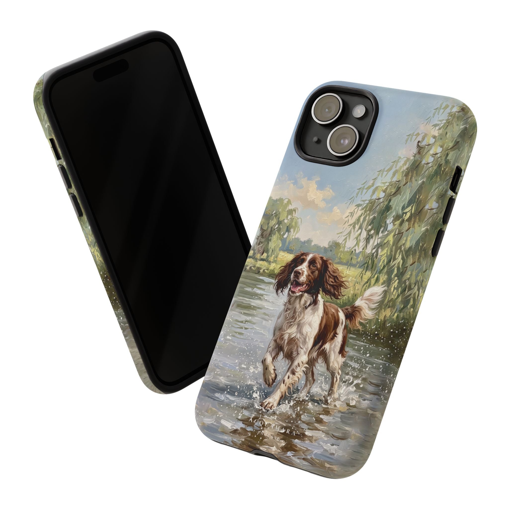 The Springer Spaniel (Liver and White)