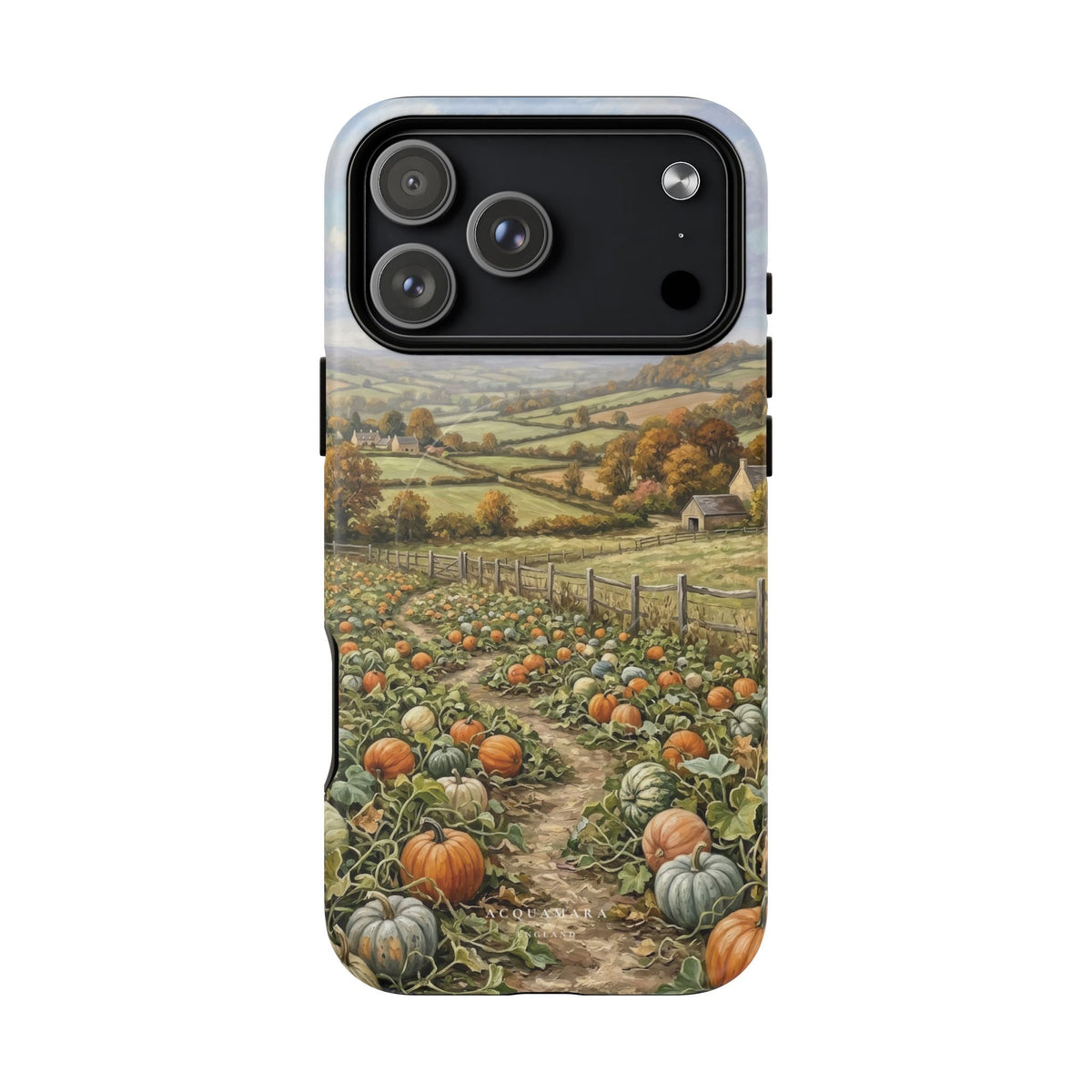 The Pumpkin Field (MagSafe)